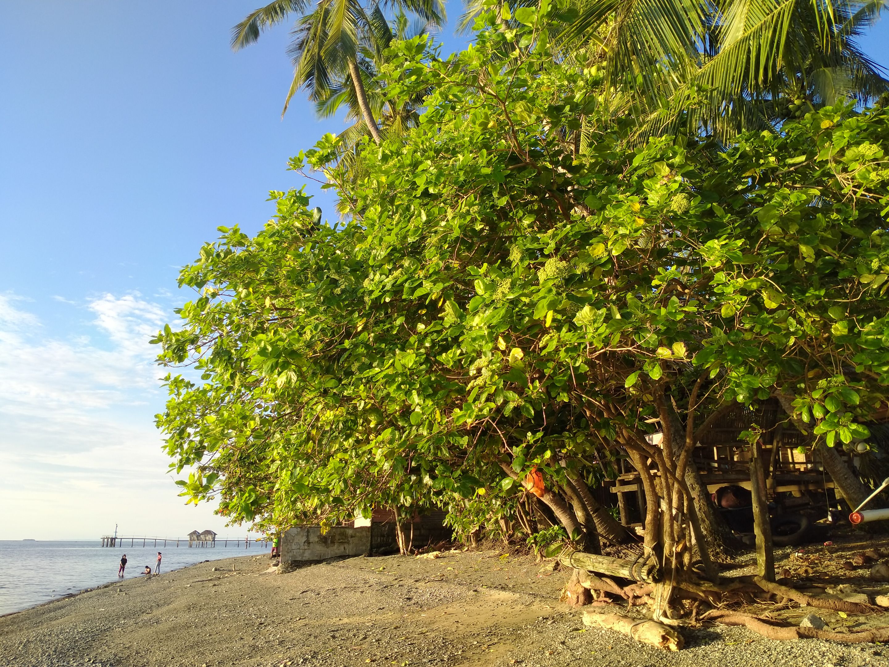 IMG20221031163824.jpg