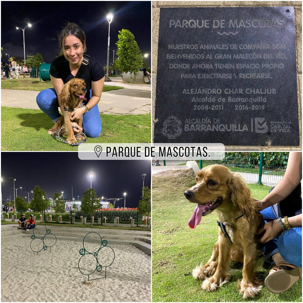 Parque de mascotas..png