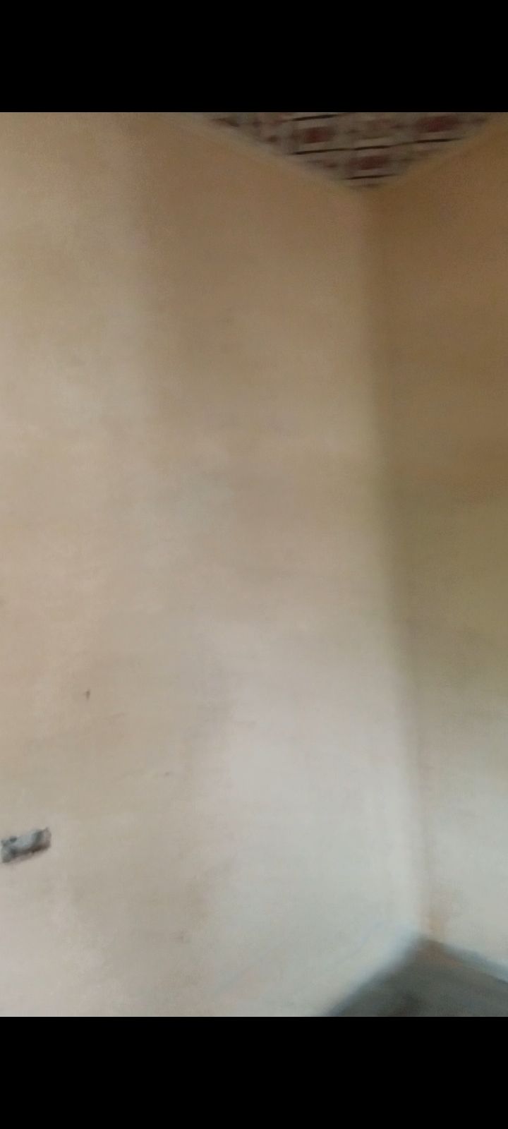 1000428426.jpg