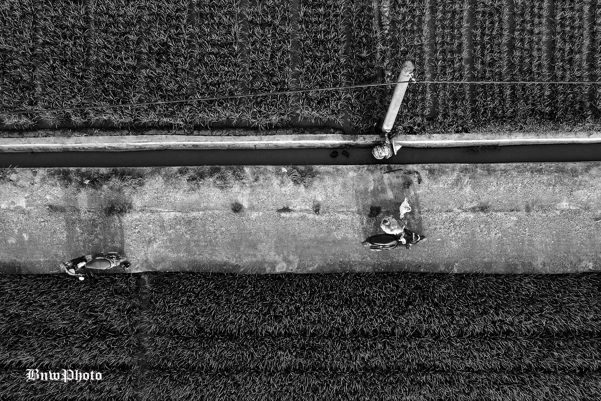 DJI_0924.JPG