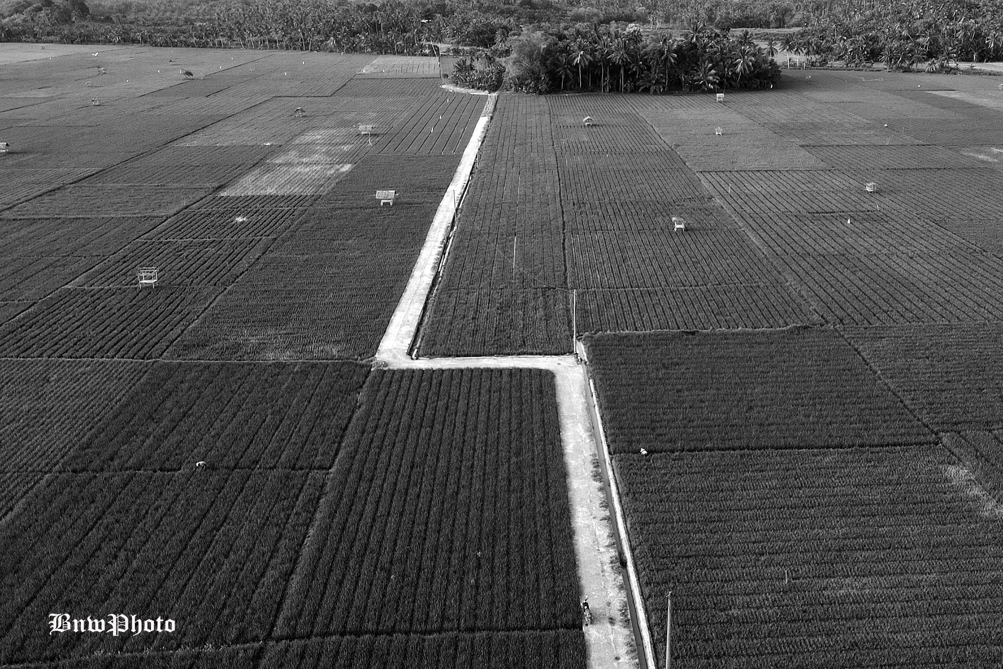 DJI_0899.JPG