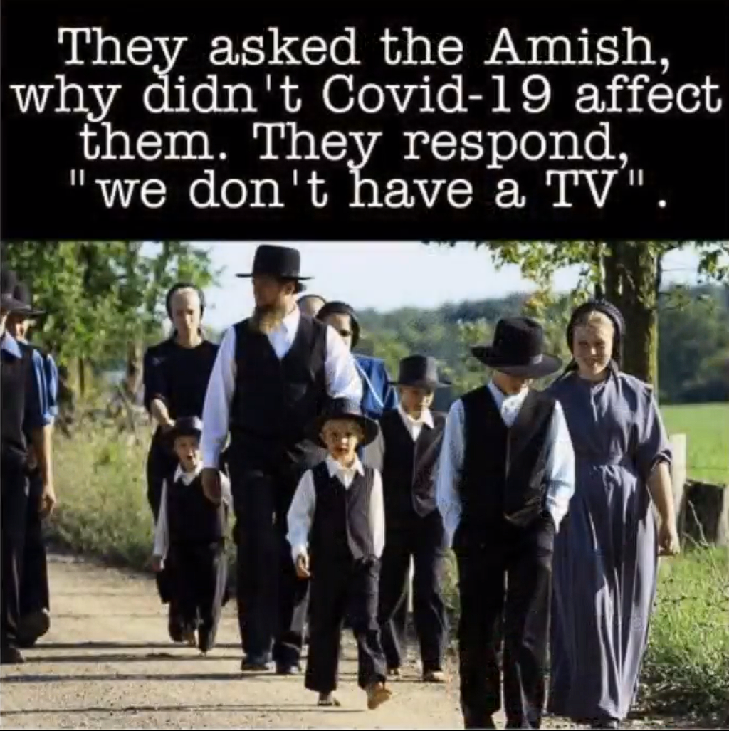Amish No TV No Covid.png