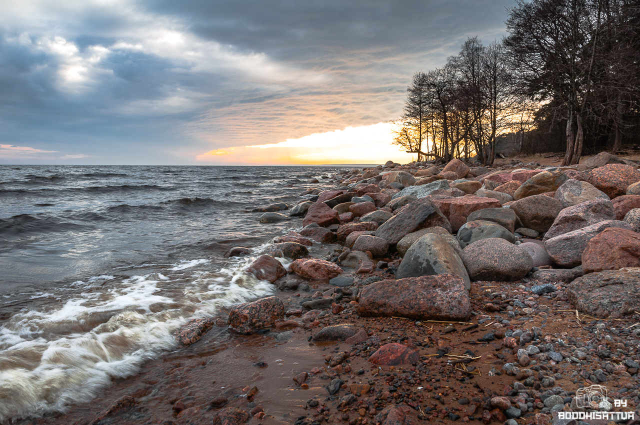берега финского залива
