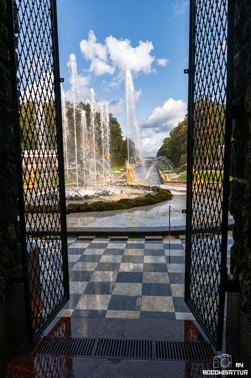 DSC_8380.jpg