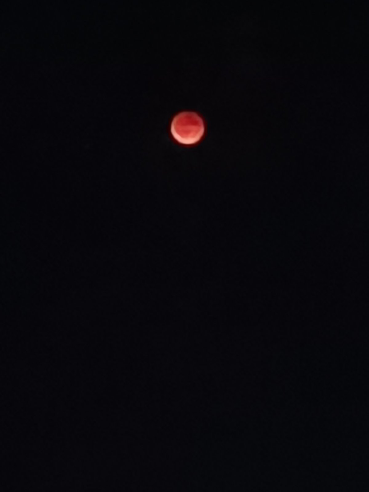 1000024360.jpg