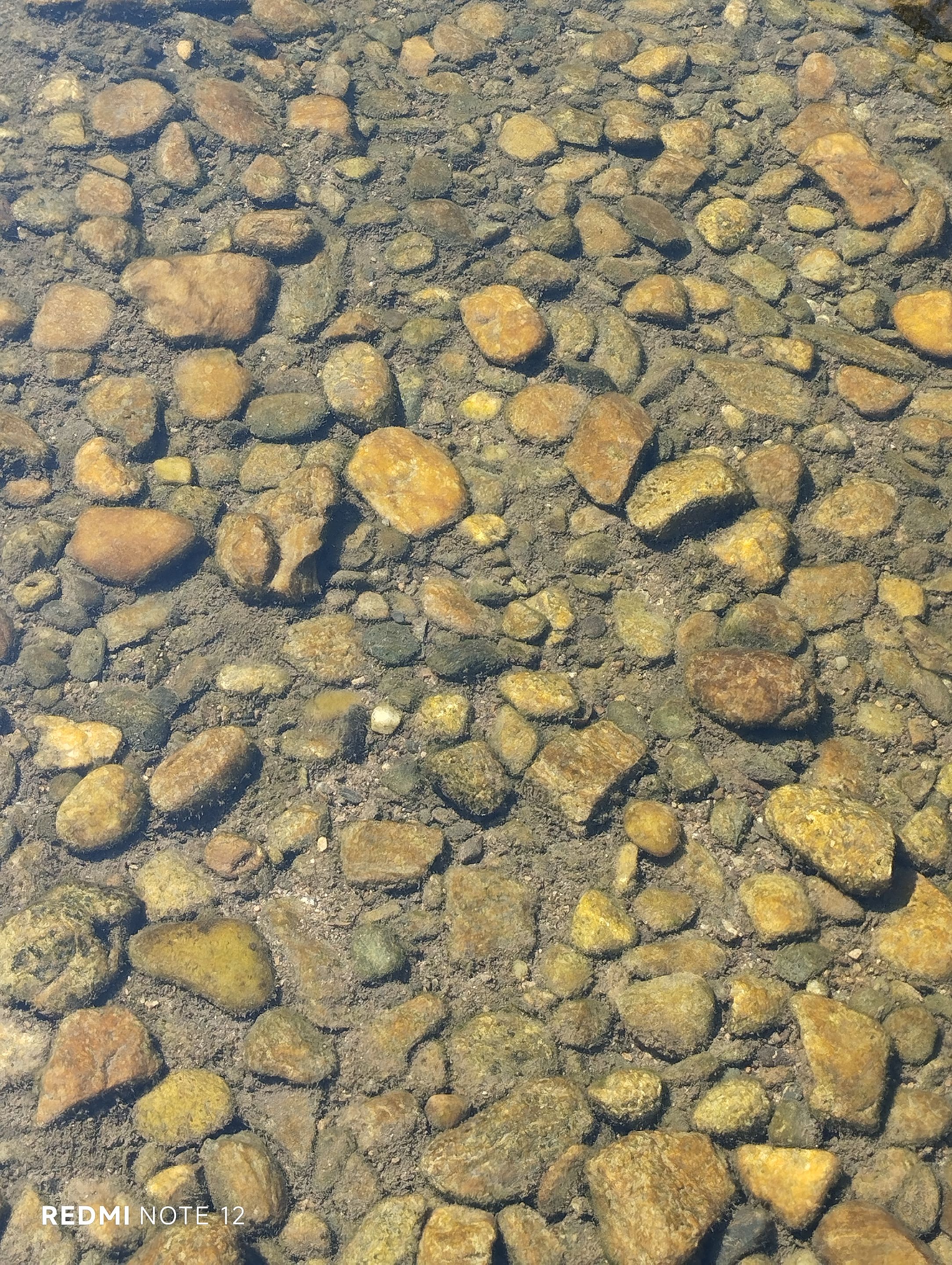IMG_20250816_150047.jpg