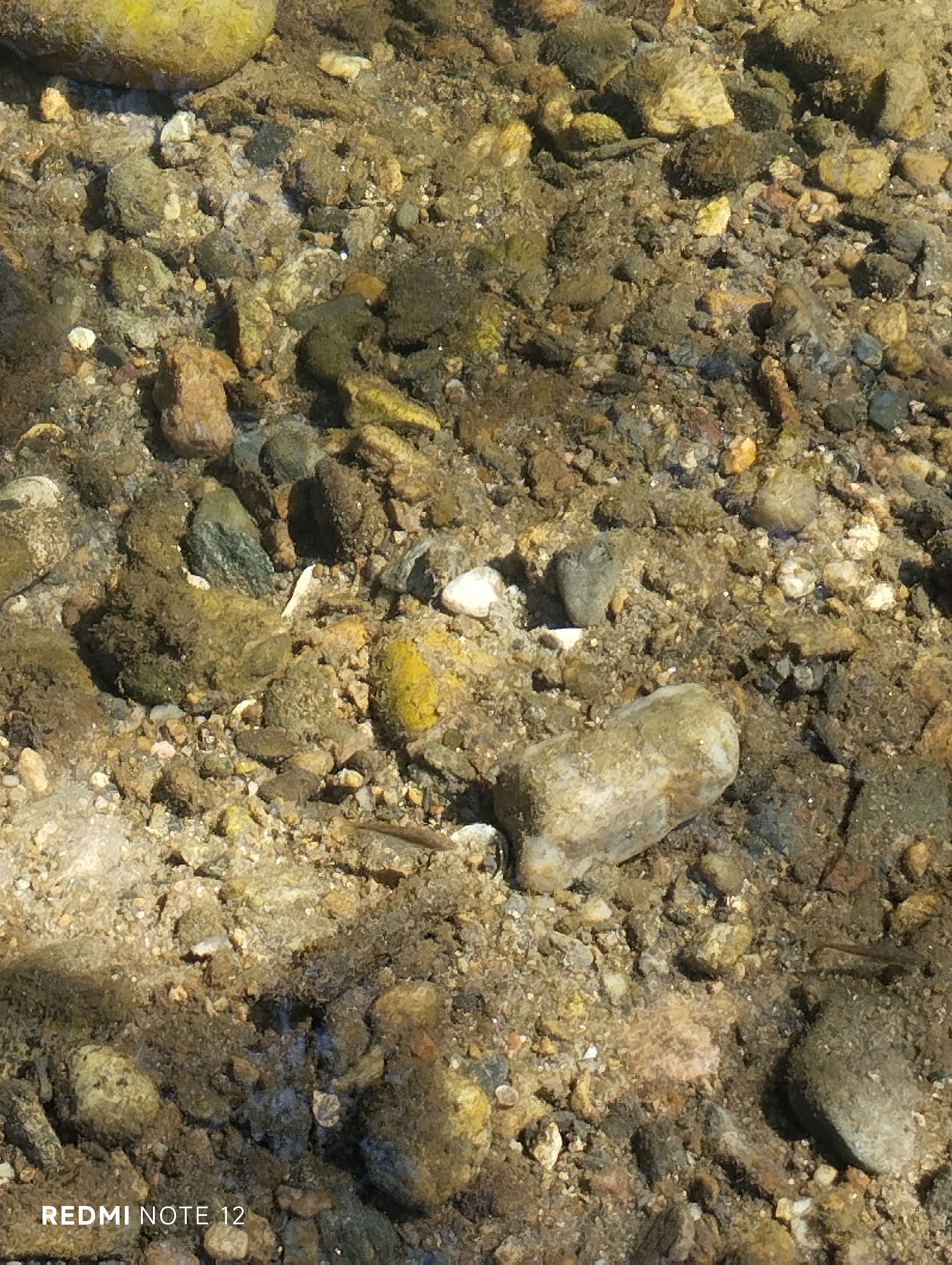 IMG_20250816_144255.jpg