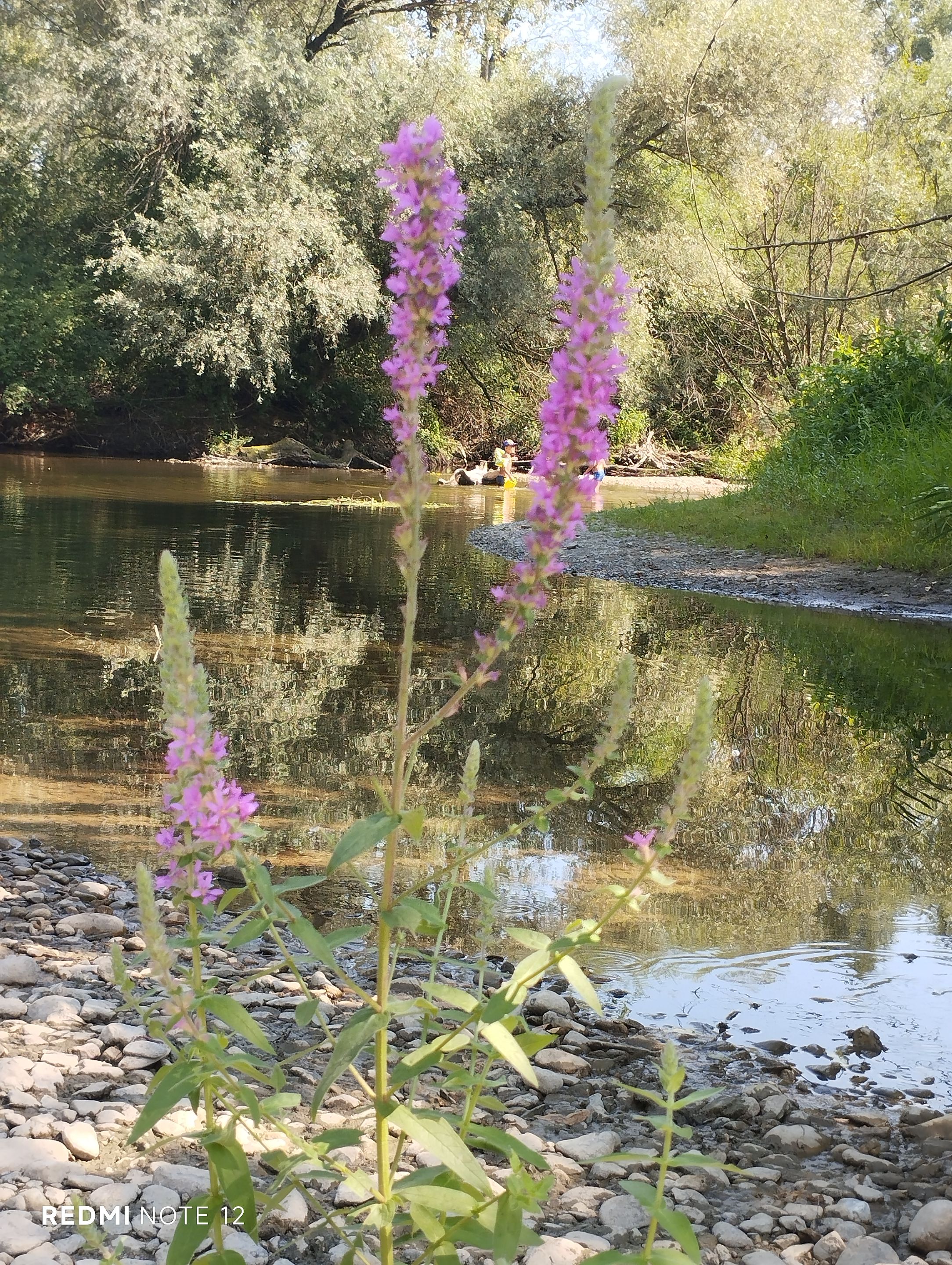 IMG_20250816_150318.jpg