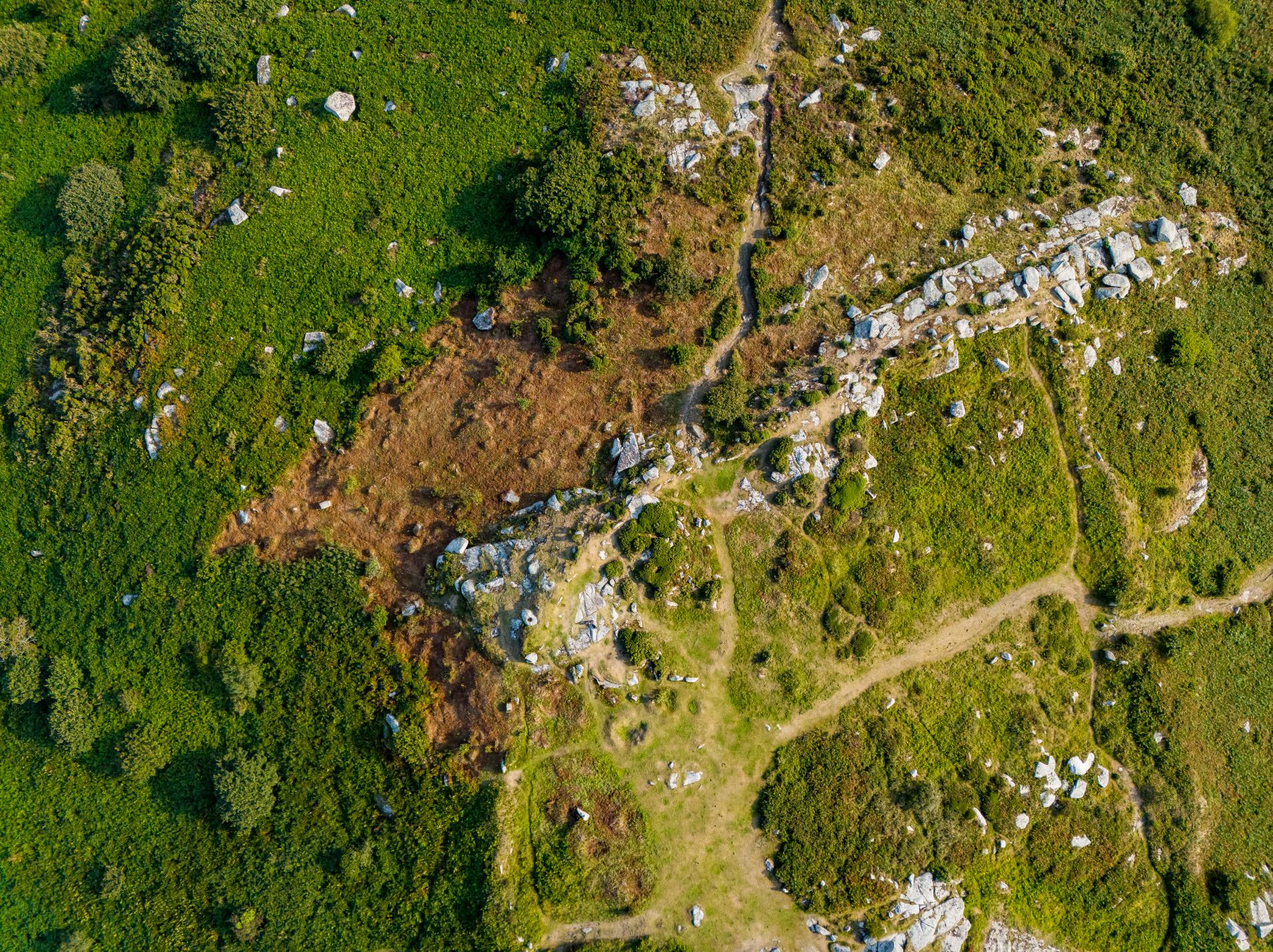 Screenshot 2025-08-19 at 17.48.18.png