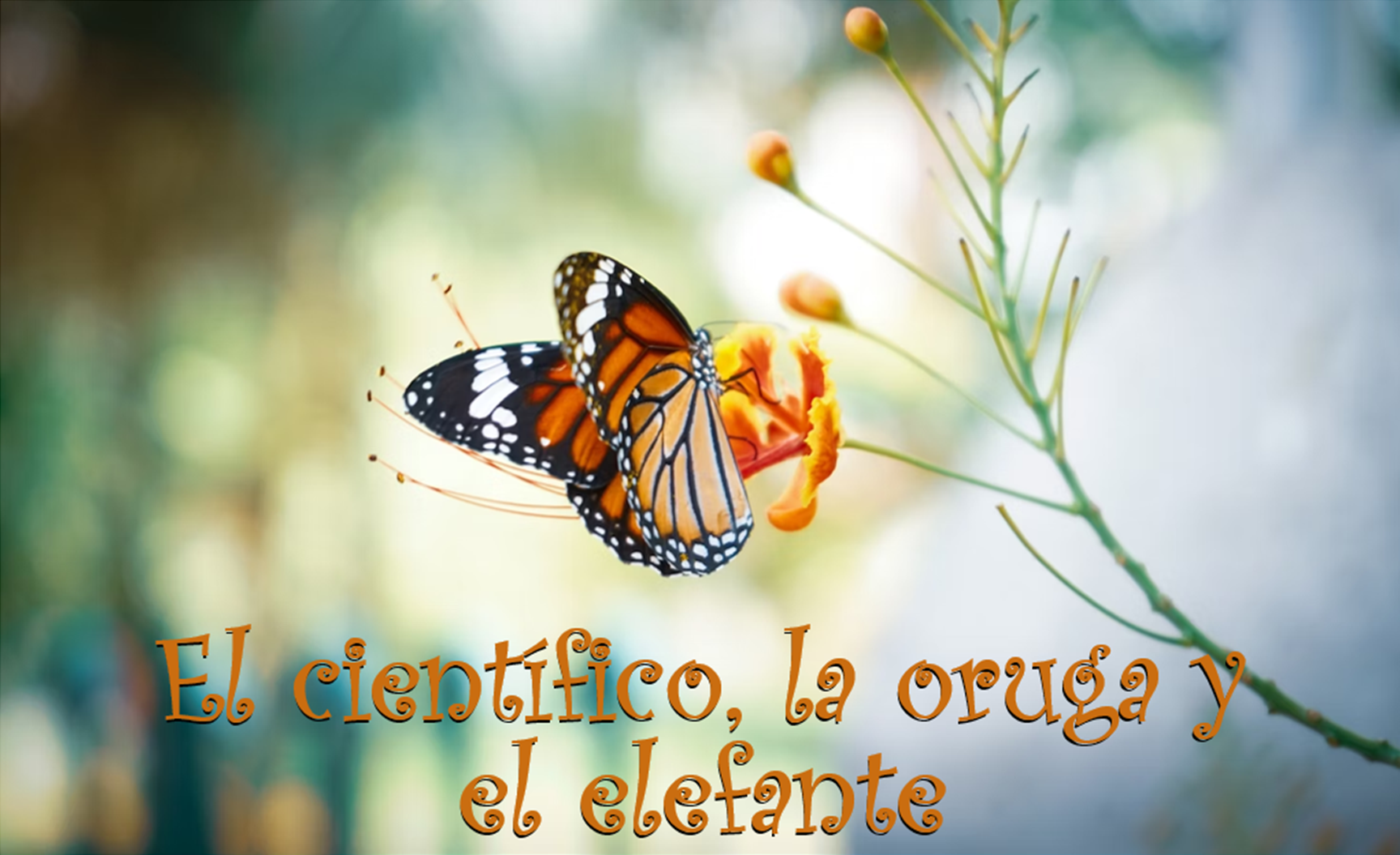 image.png/