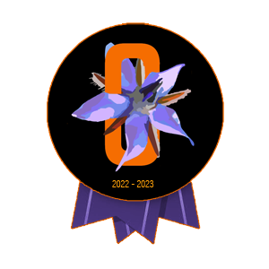 NFT_post.png