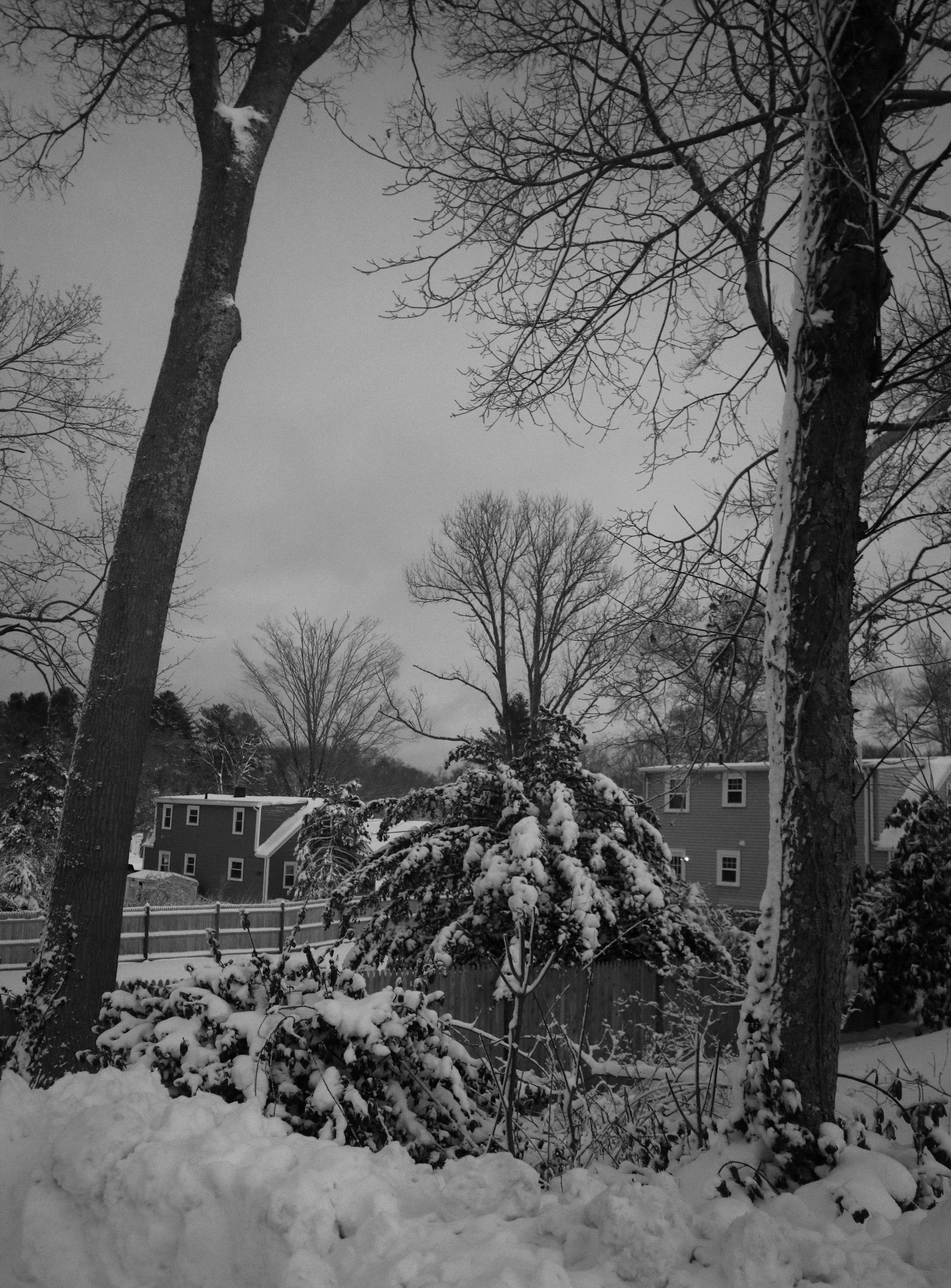IMG_7909_modified.JPG