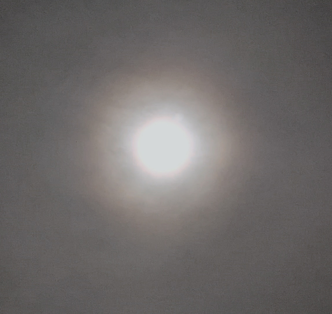 PXL_20240126_013559893.MP_modified.jpg