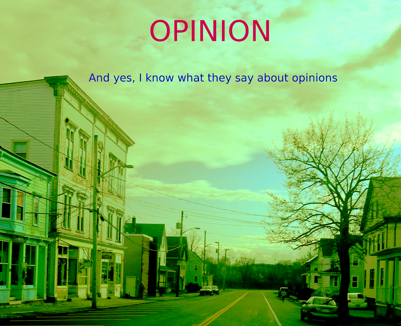 opinion-20210117.png