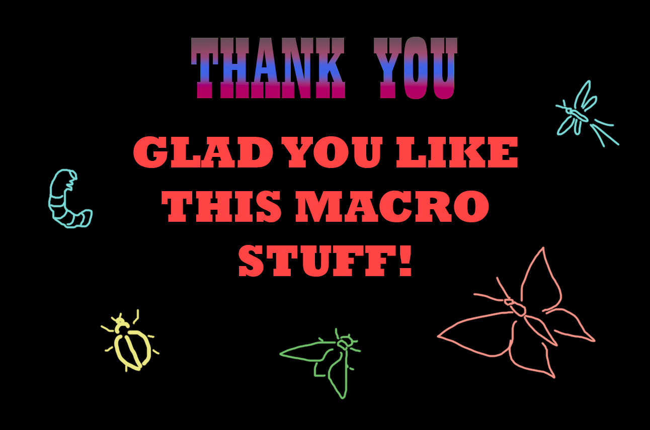 THANKS macro.jpg