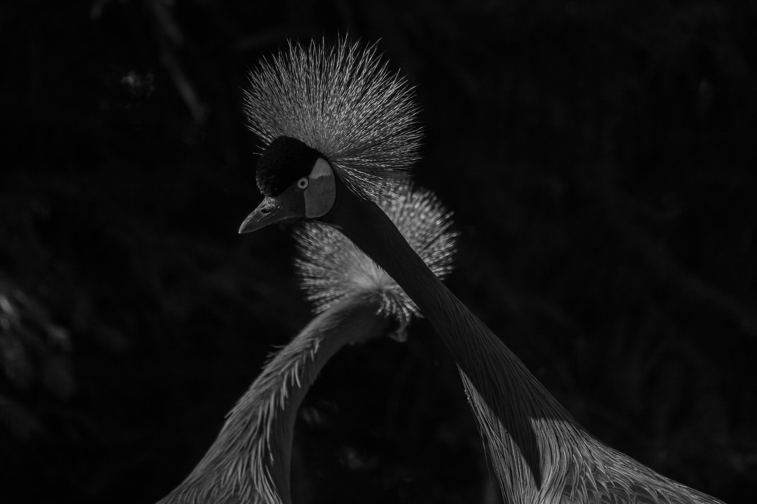 KU7A6581.jpg