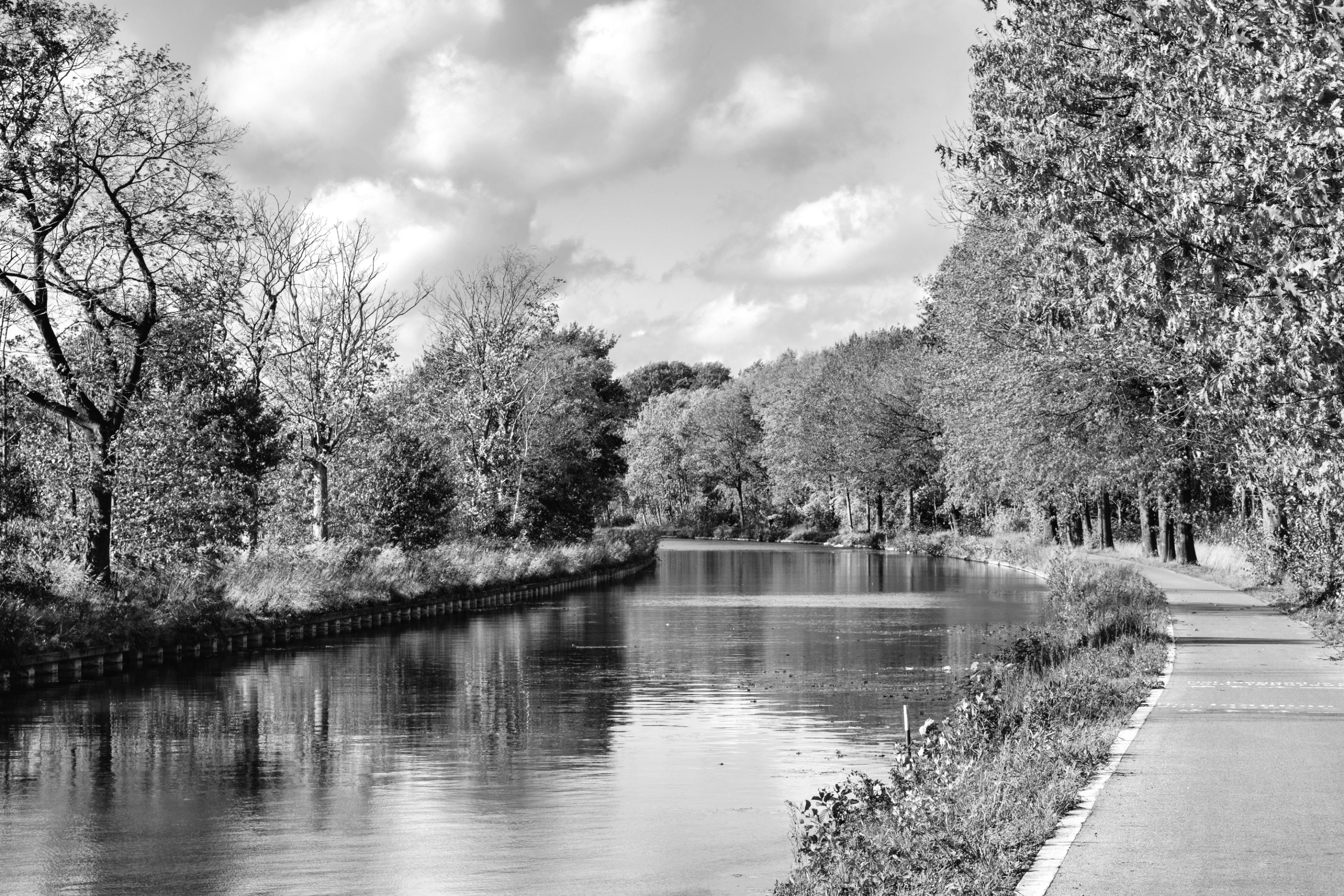 DSCF8308-bw-2.jpeg
