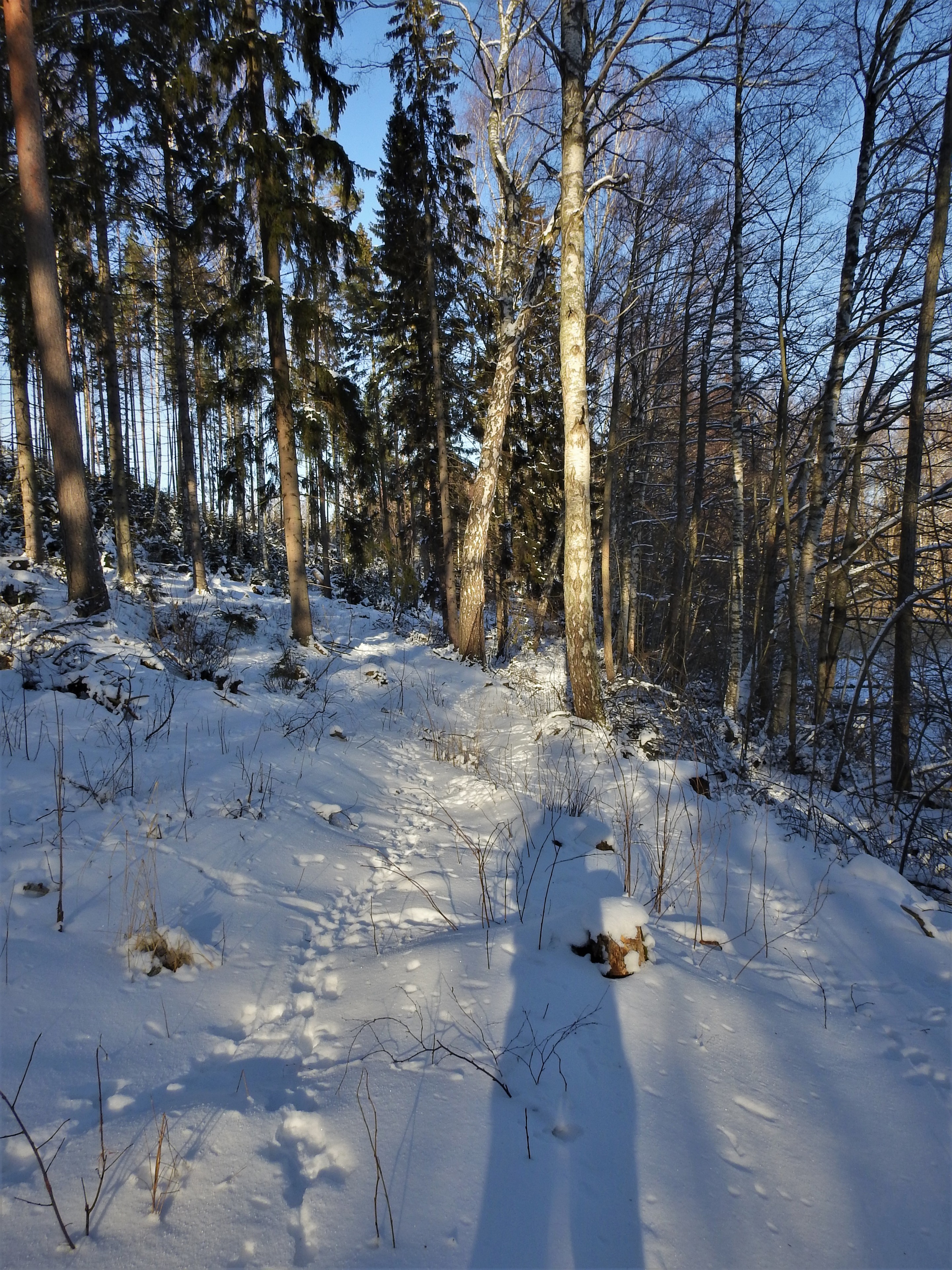 DSCN7180ed.jpg