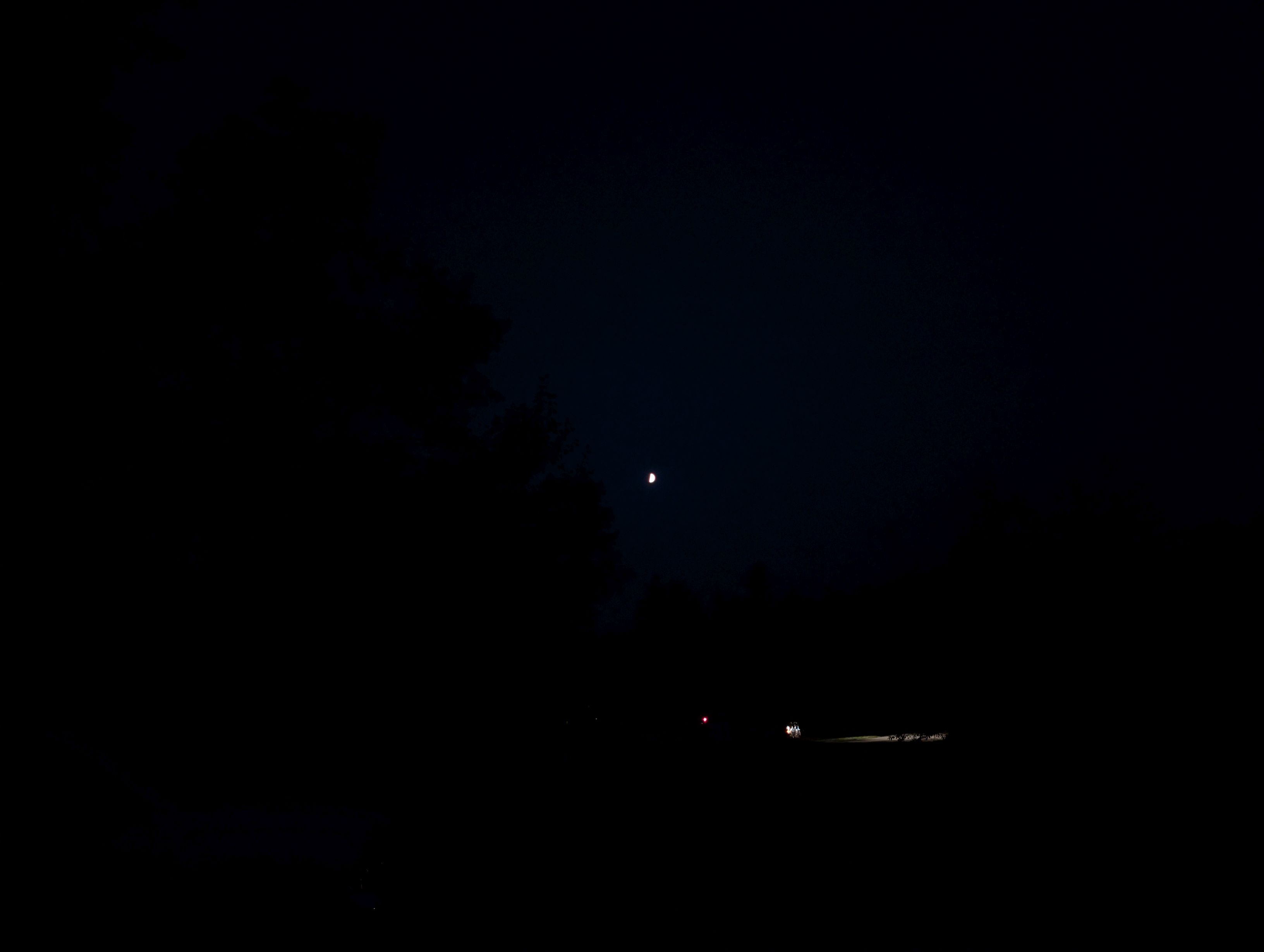 PXL_20250802_020331454.jpg