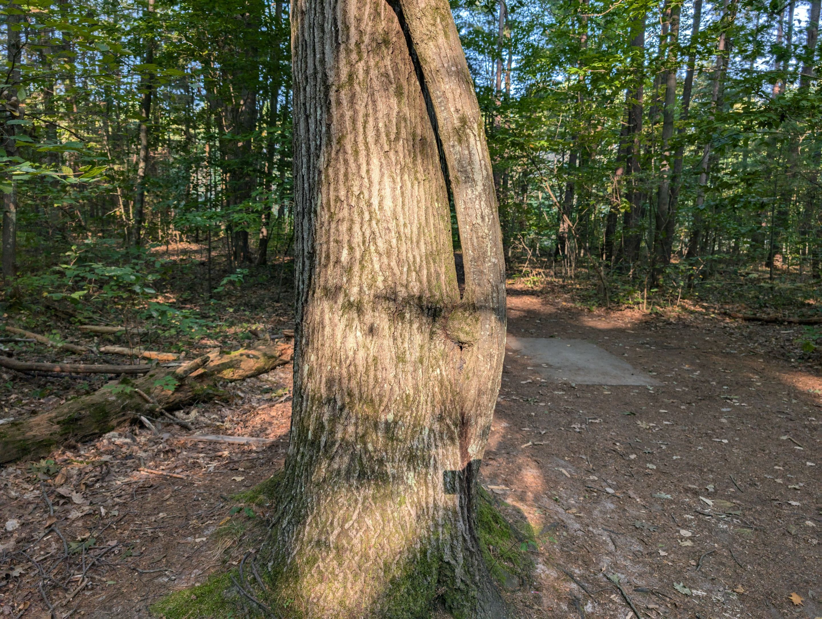 PXL_20240914_133903305.jpg/
