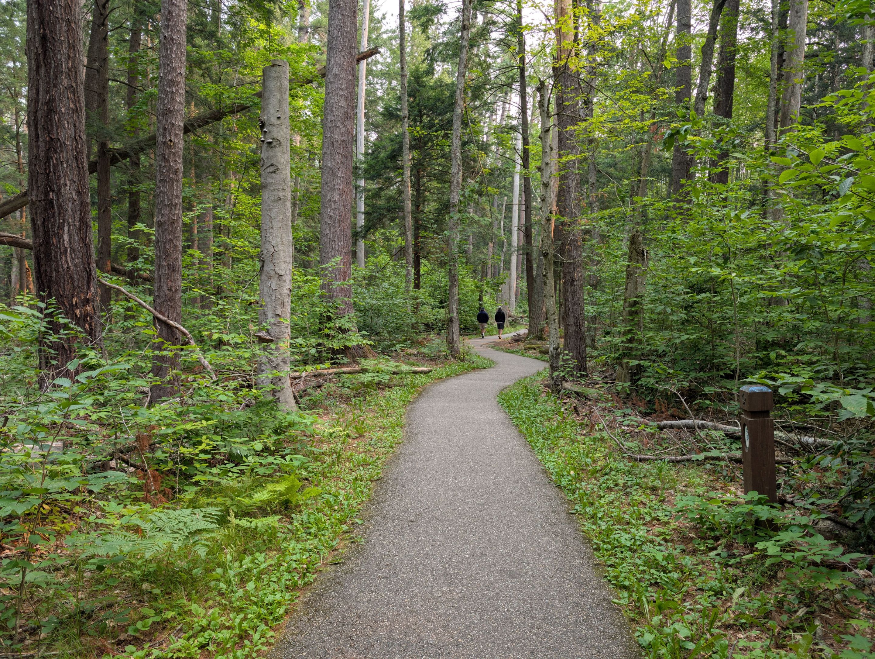 PXL_20250802_134523563.jpg