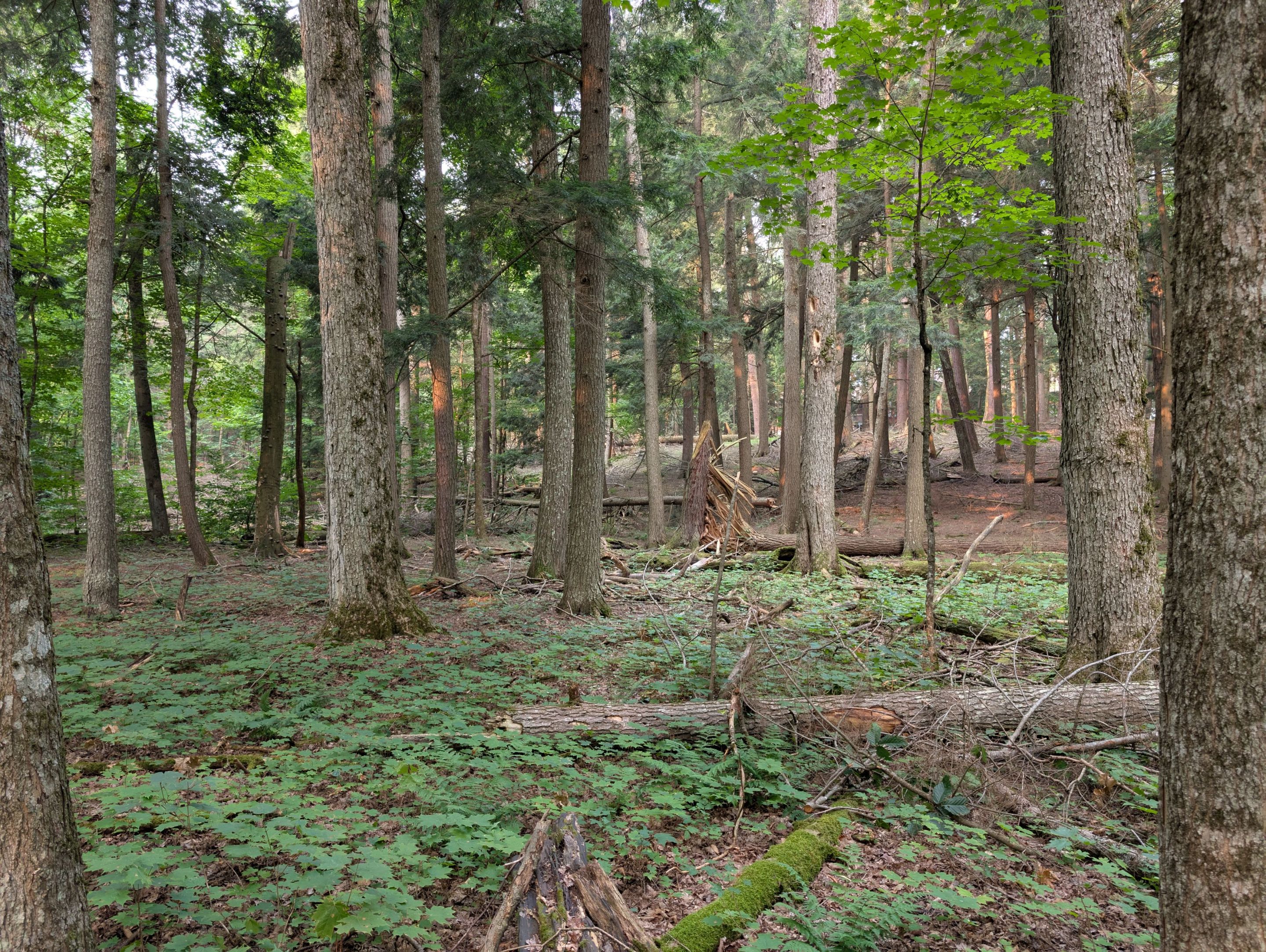 PXL_20250802_133834464.jpg