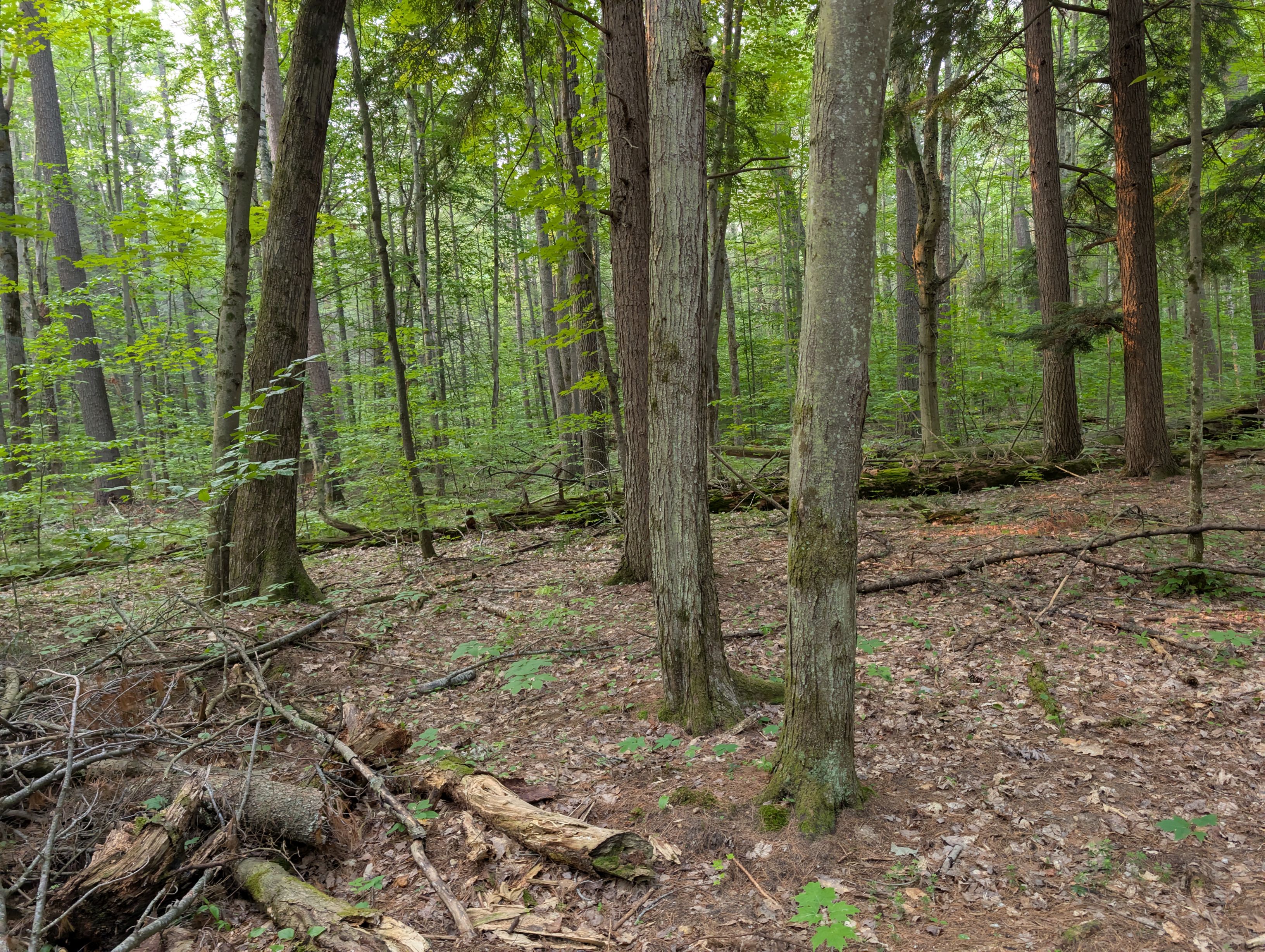 PXL_20250802_132107008.jpg