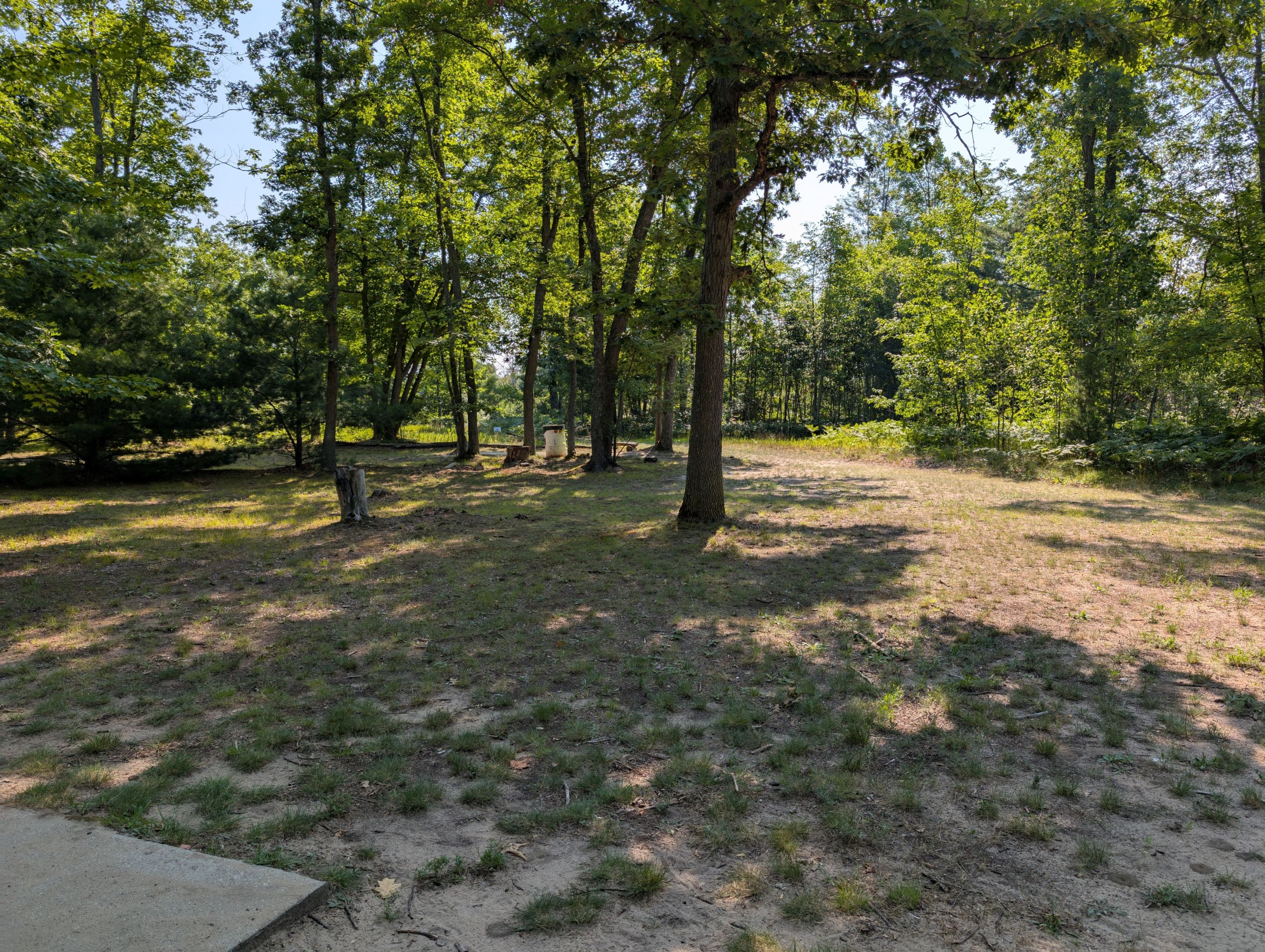 PXL_20250801_142229035.jpg