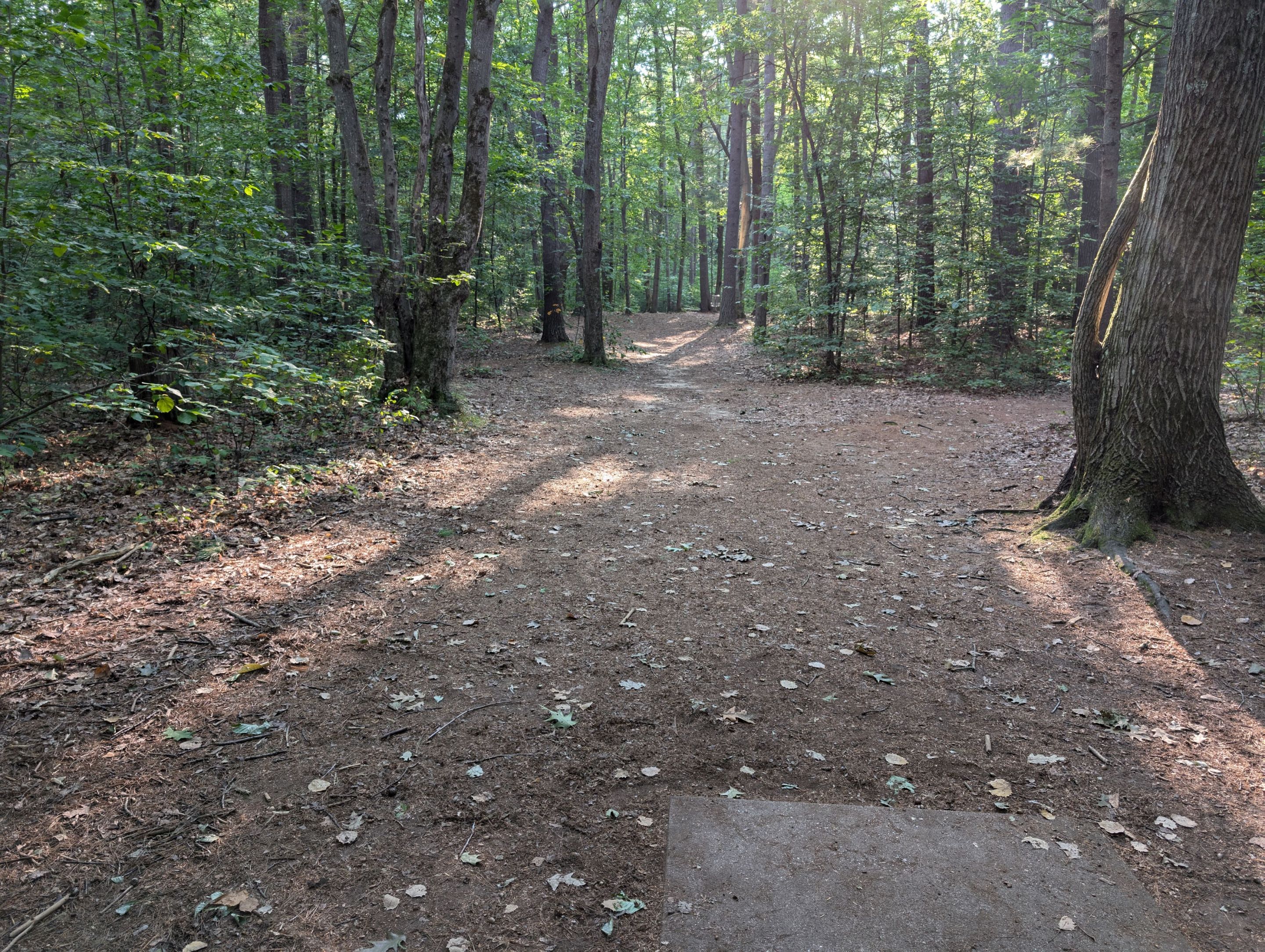 PXL_20240914_133956624.jpg/
