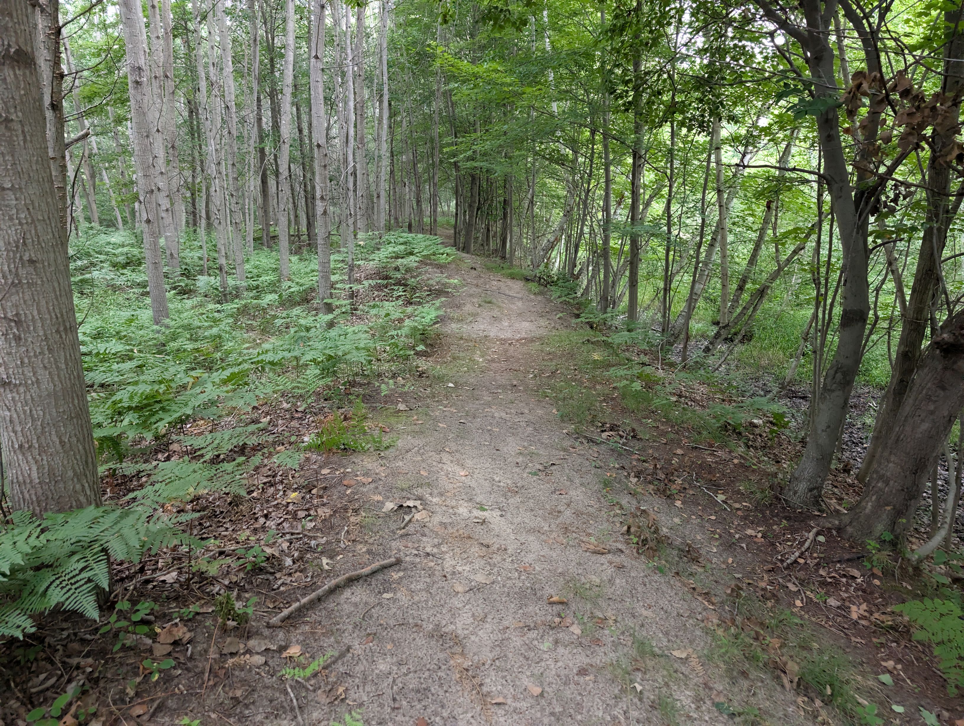 PXL_20250726_123330196.jpg