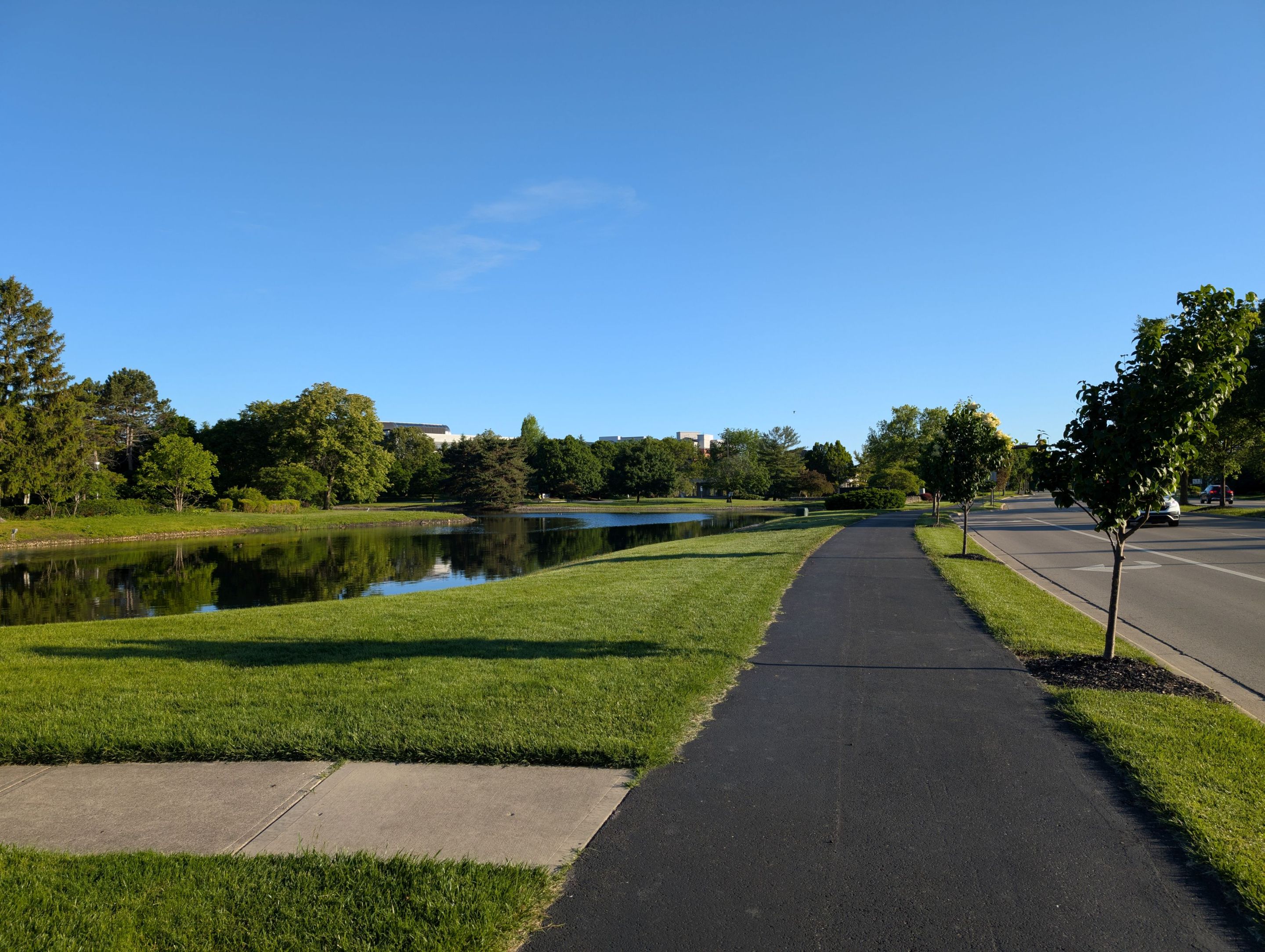 PXL_20250524_114509362.jpg