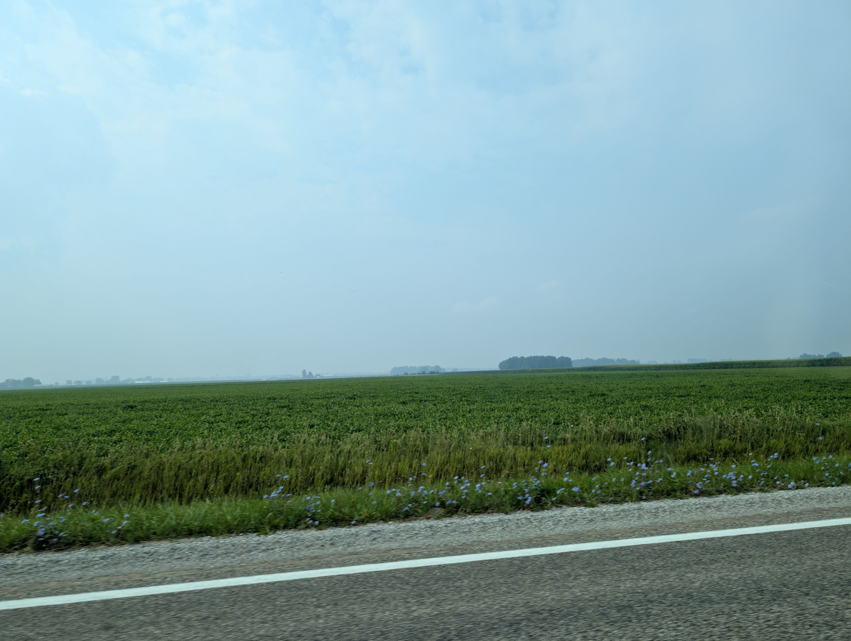 PXL_20250731_144741763.jpg