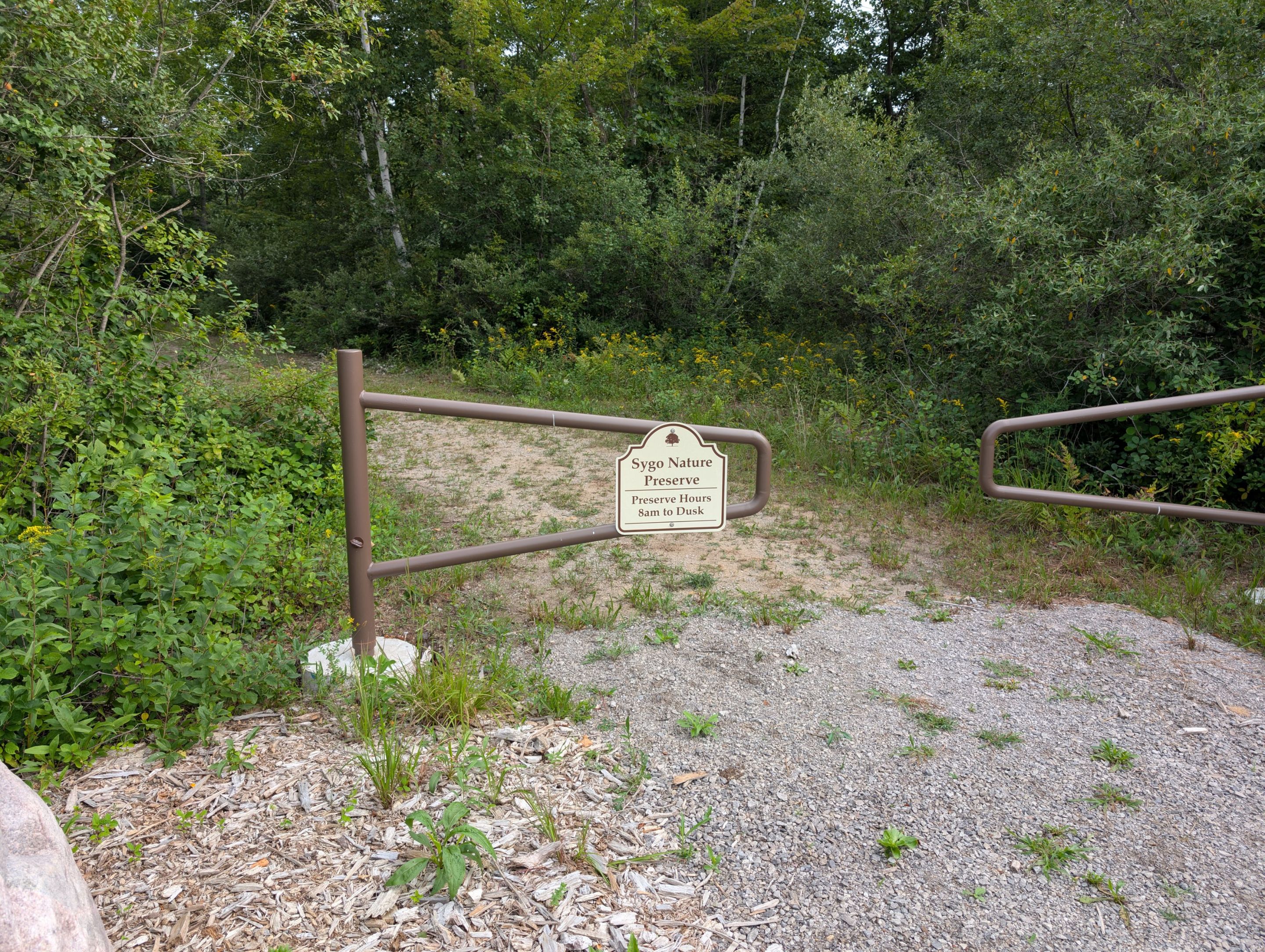 PXL_20250726_122222425.jpg