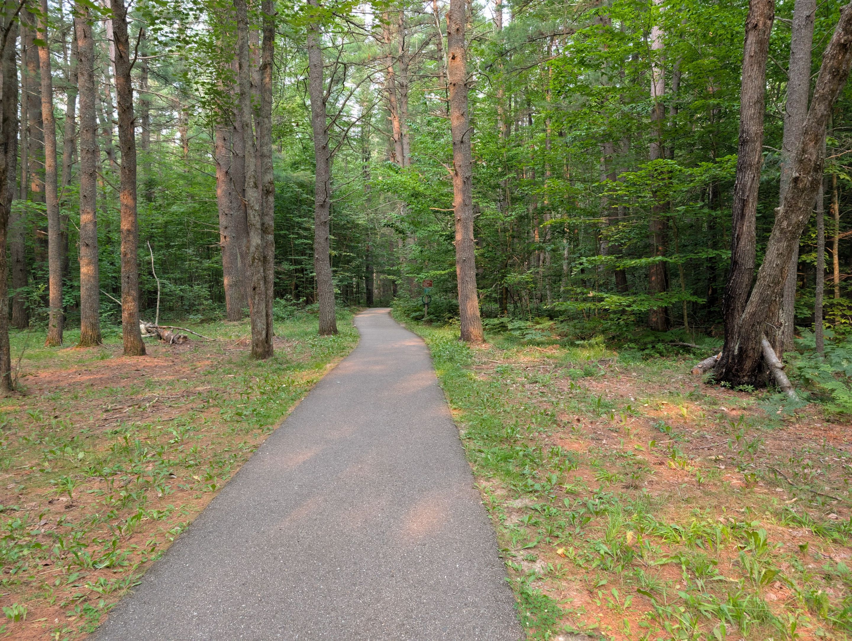 PXL_20250802_131932946.jpg