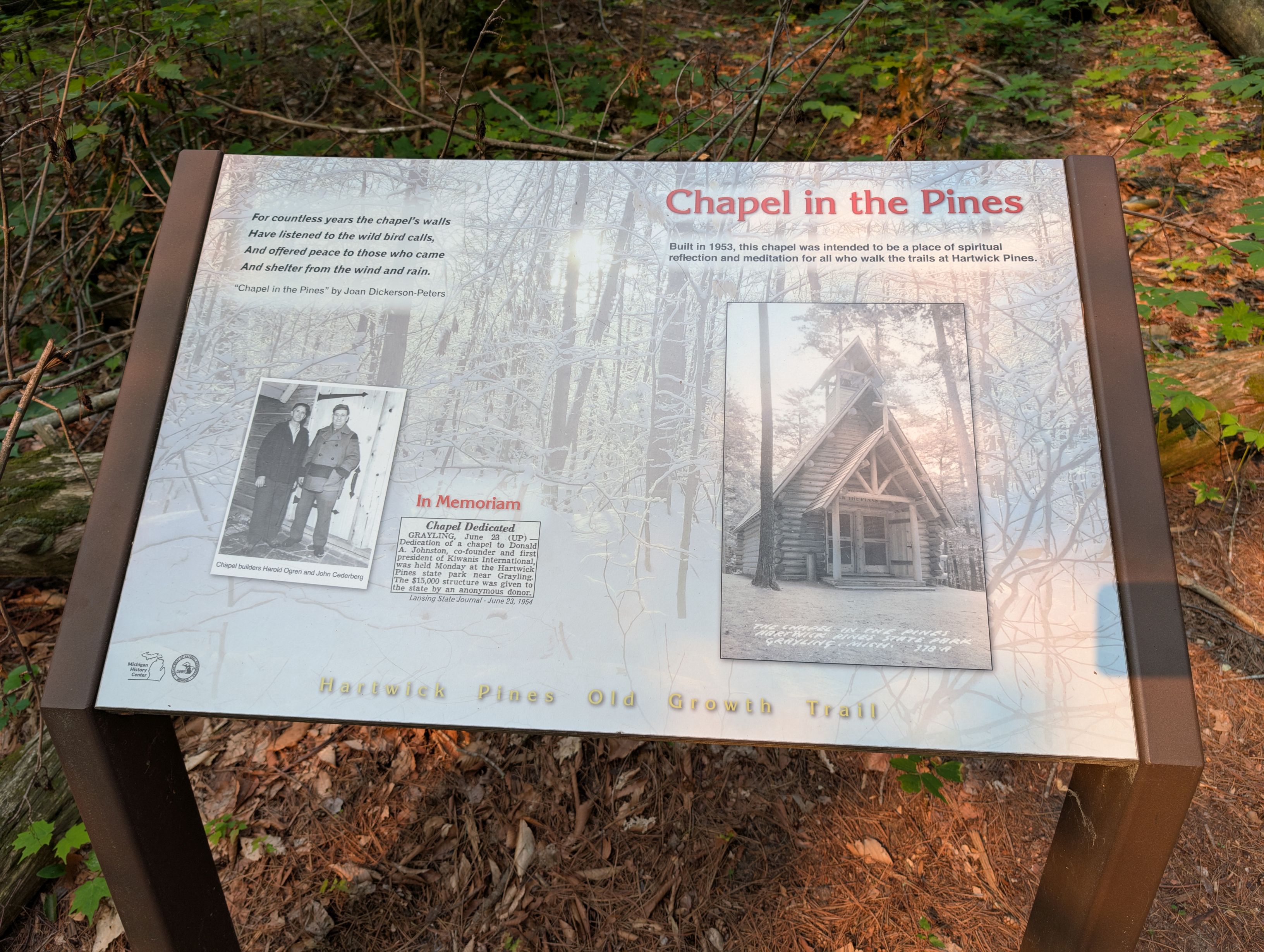 PXL_20250802_132333769.jpg