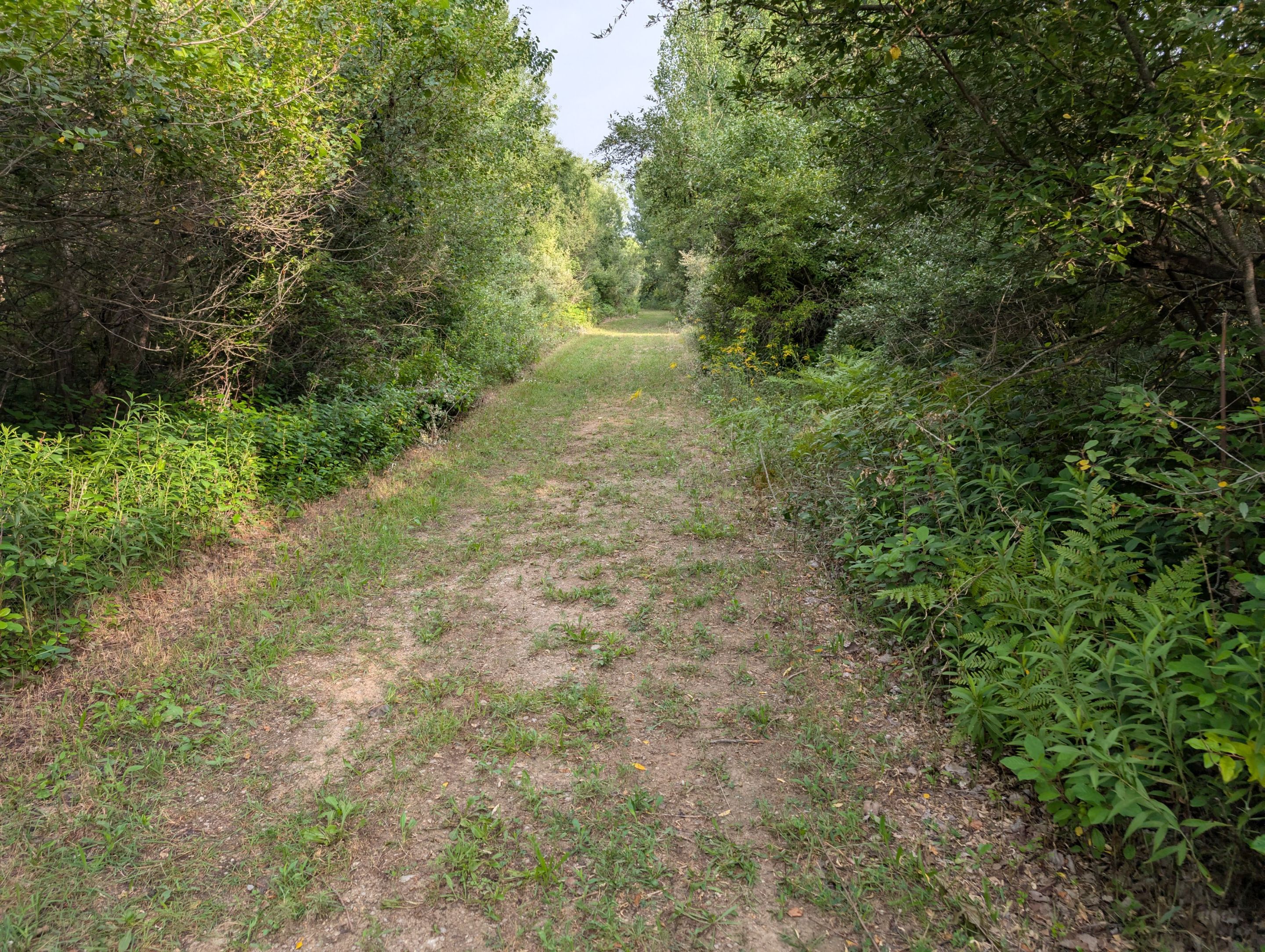 PXL_20250726_122317862.jpg