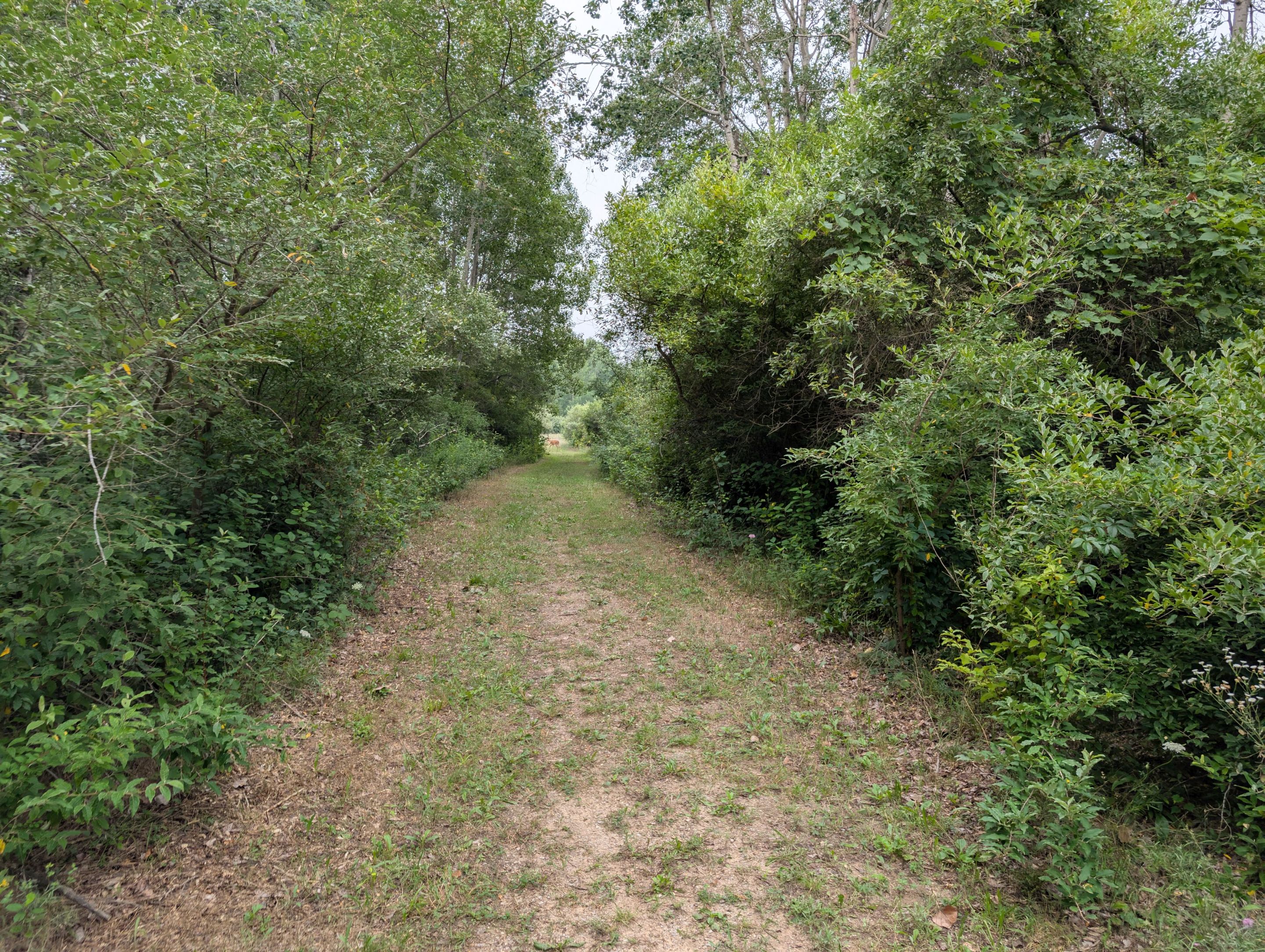 PXL_20250726_124909840.jpg