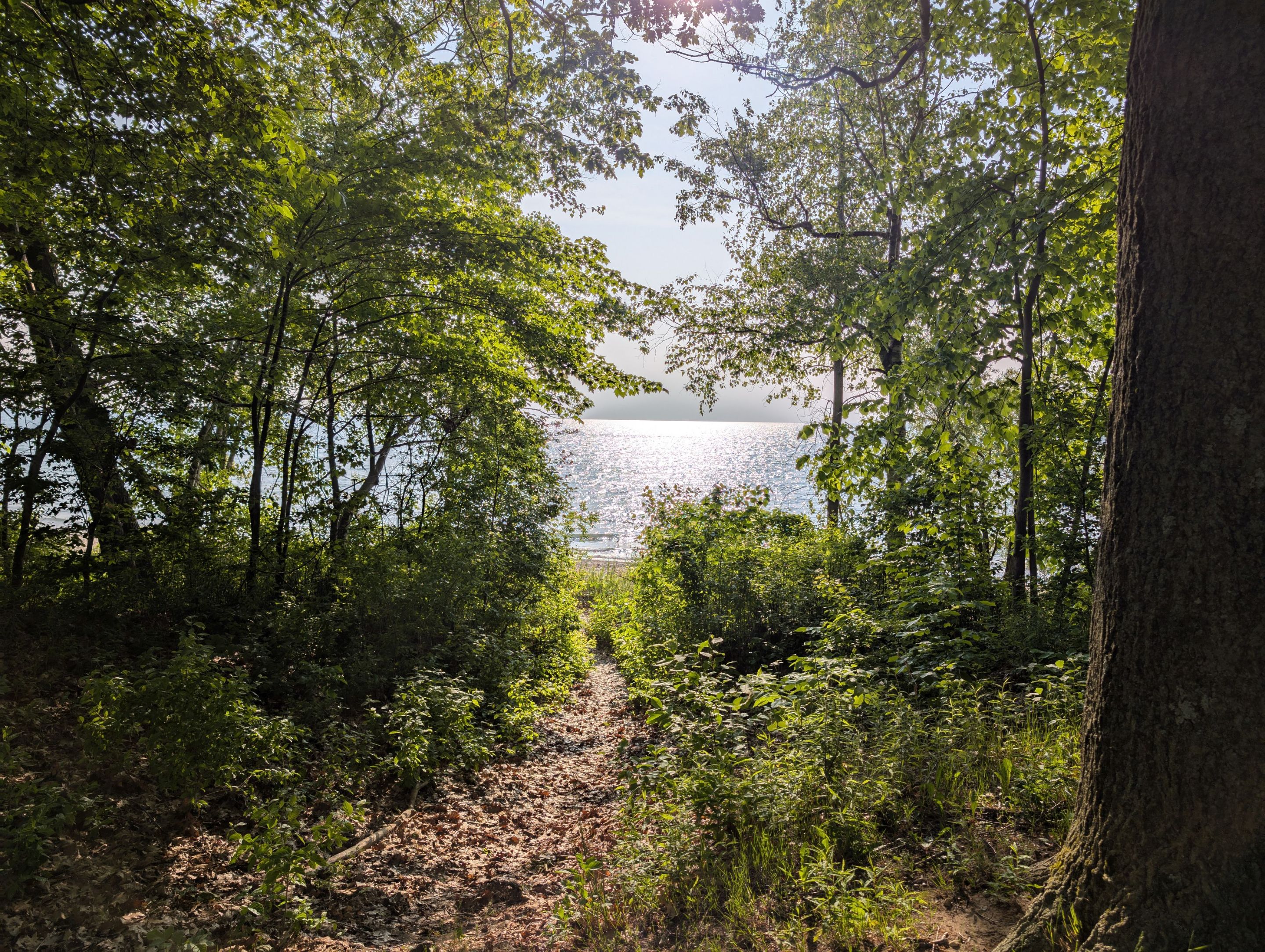 Weekend Camping: Lakeport State Park