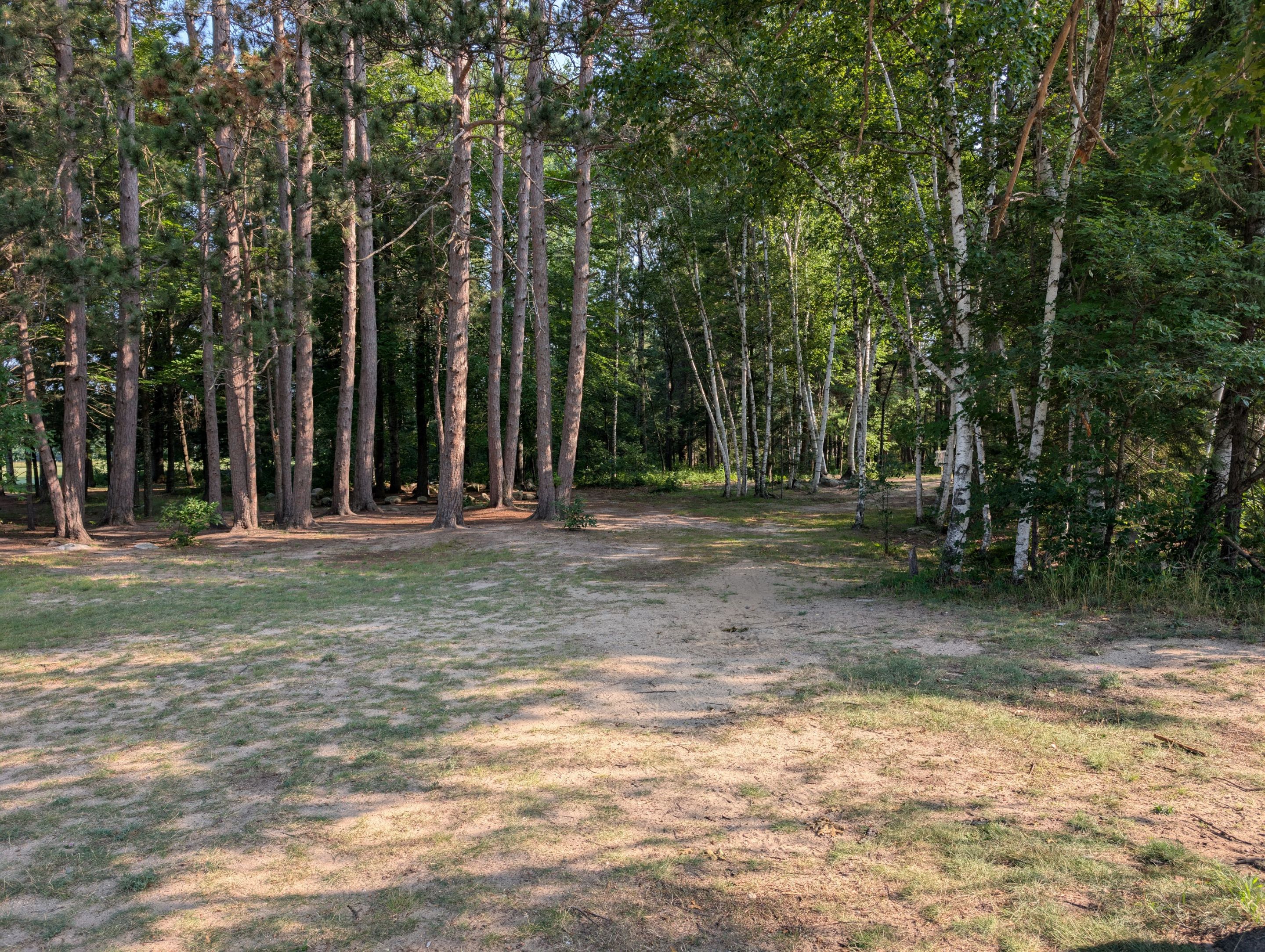 PXL_20250801_132858205.jpg