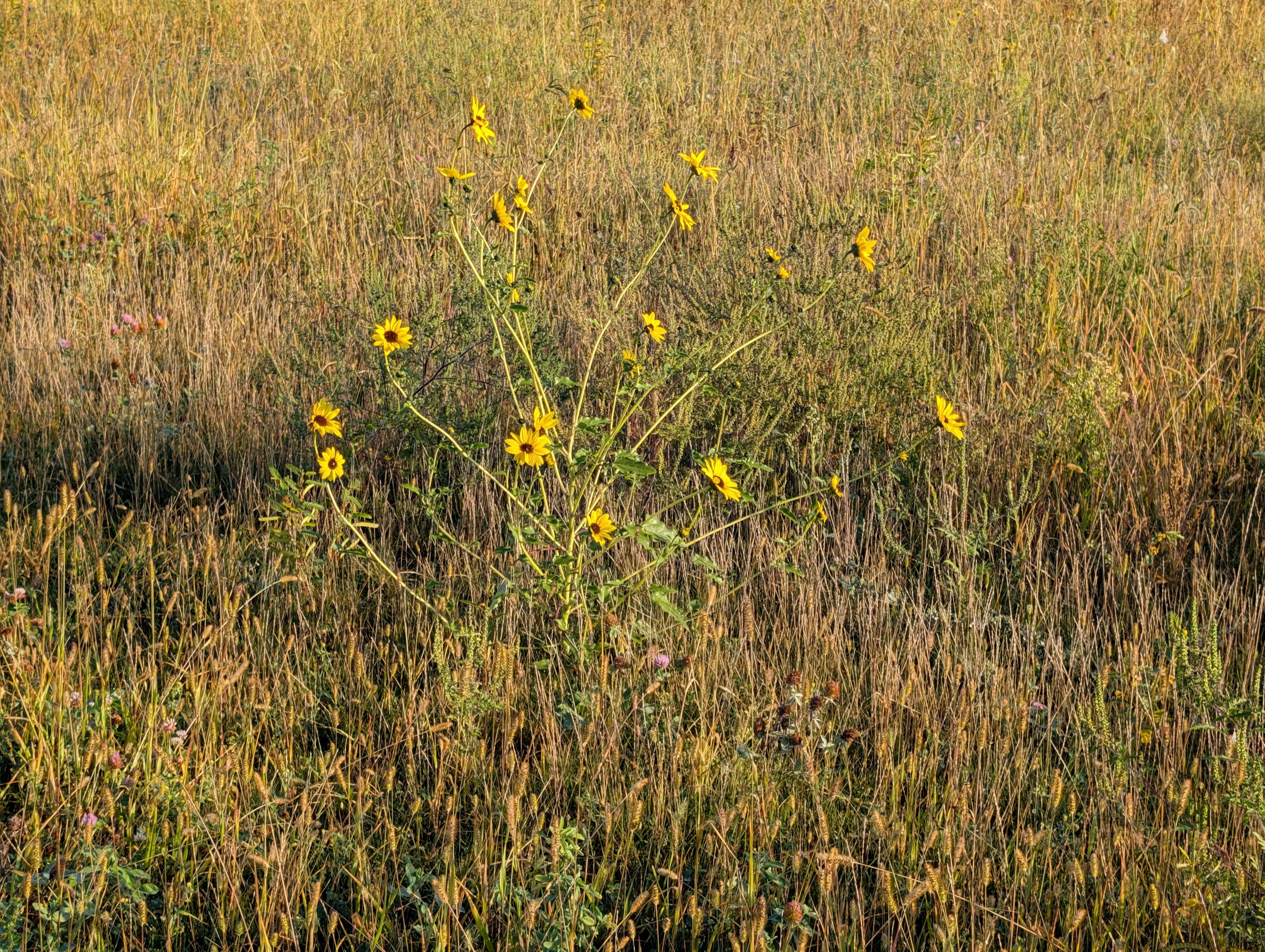 PXL_20250914_123837302.jpg