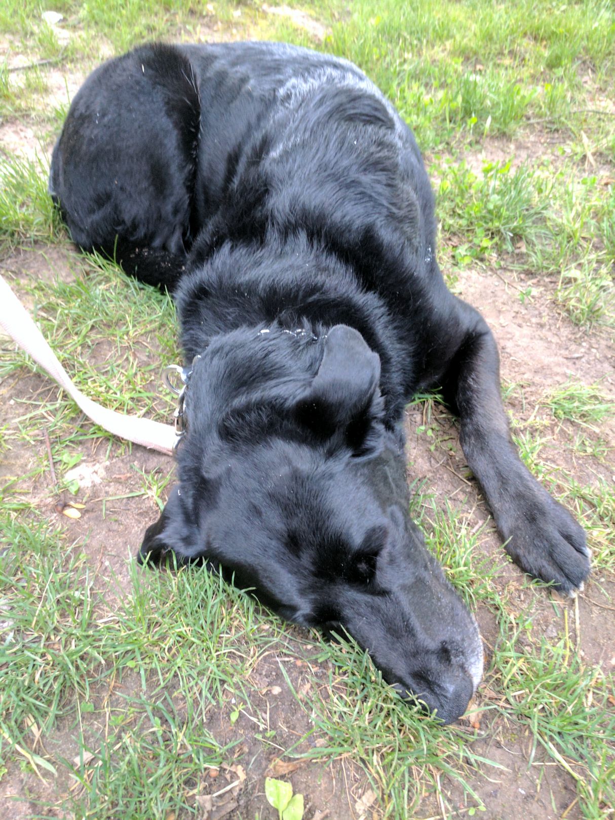 IMG_20170617_205548.jpg