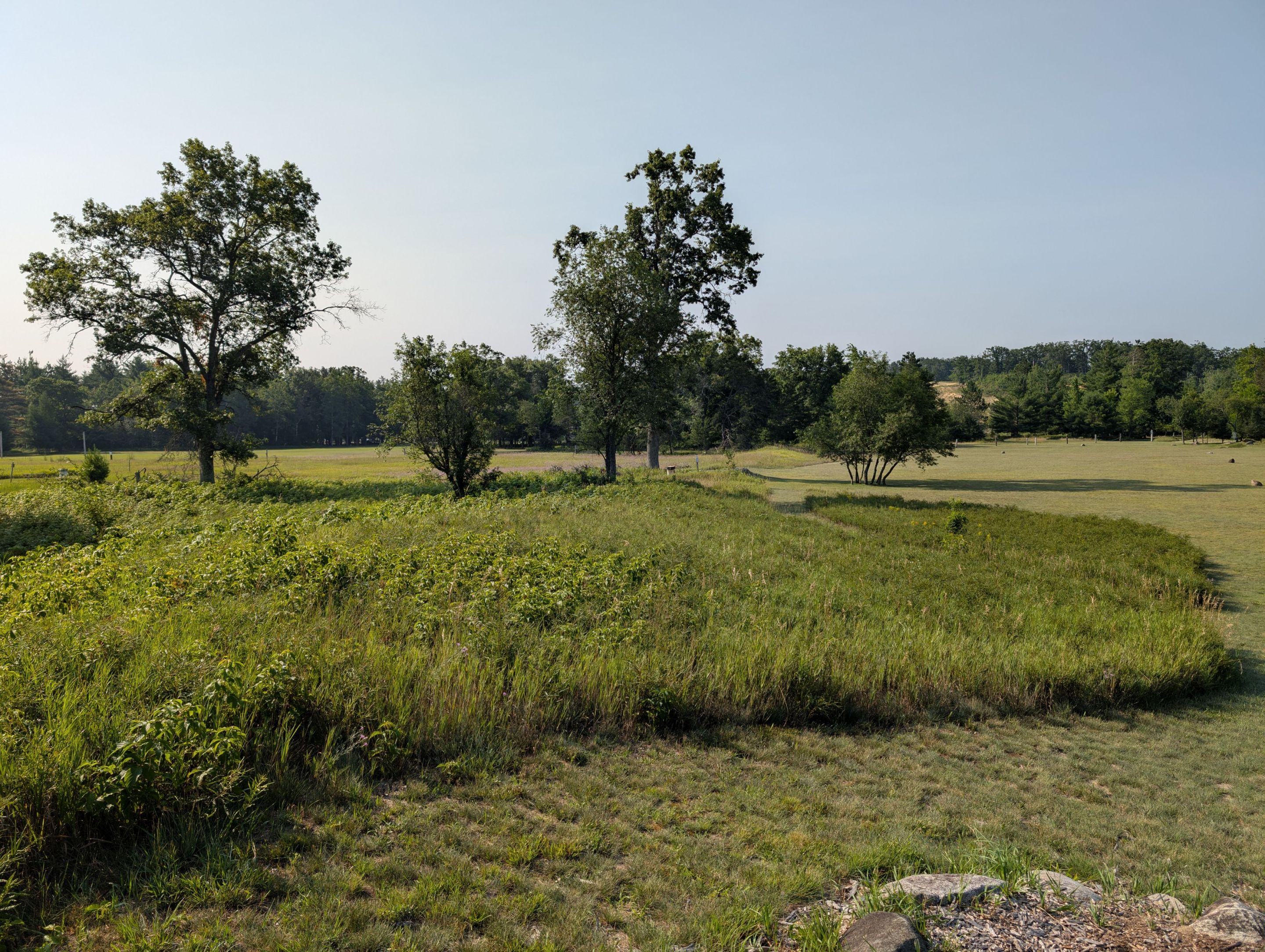 PXL_20250801_135118784.jpg