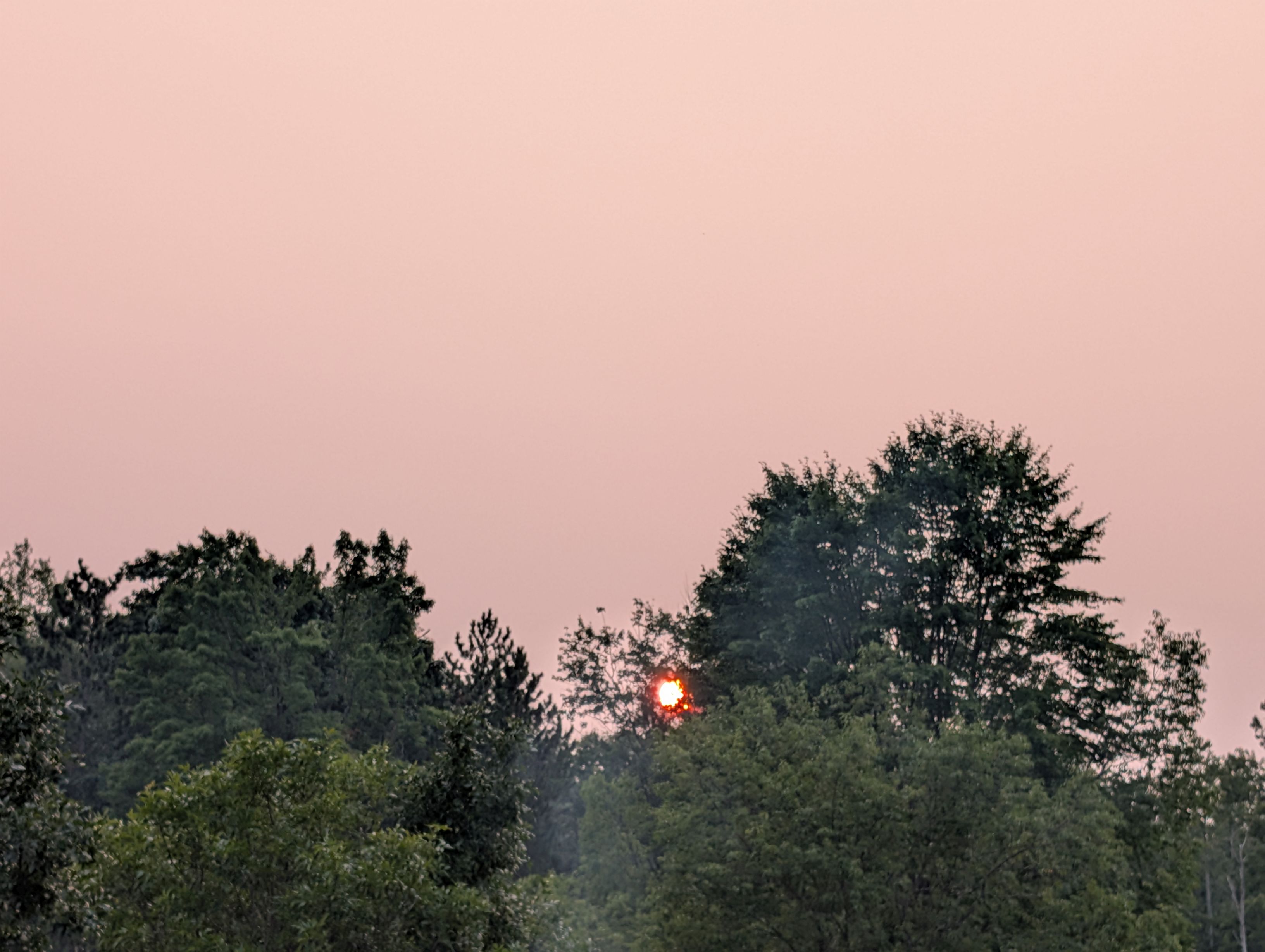 PXL_20250802_235249718.jpg