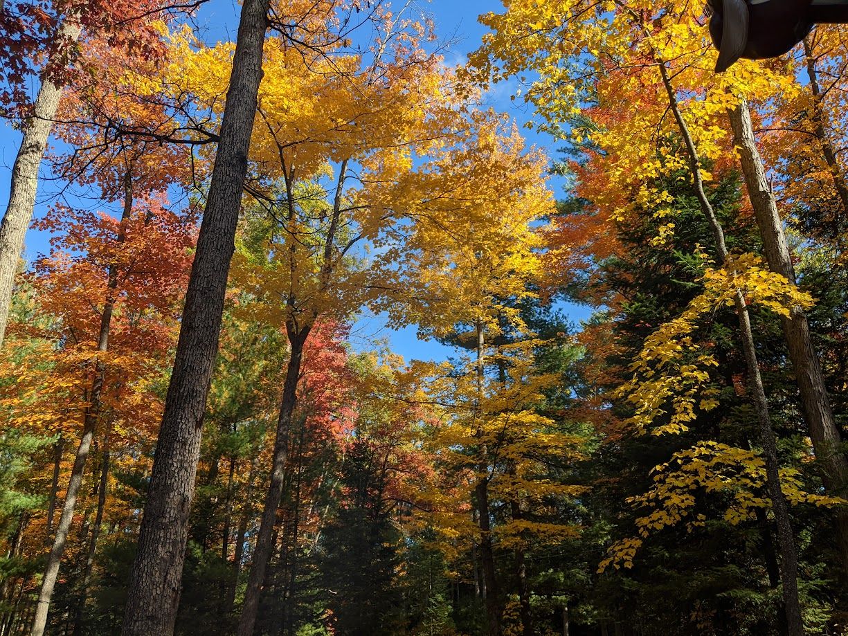 PXL_20201010_192654494.jpg