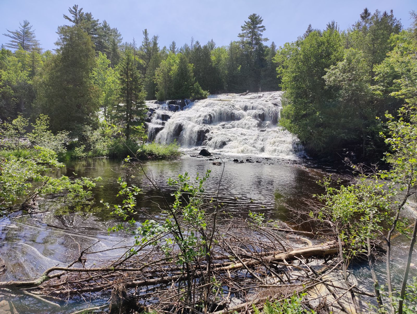 IMG20220621113701.jpg