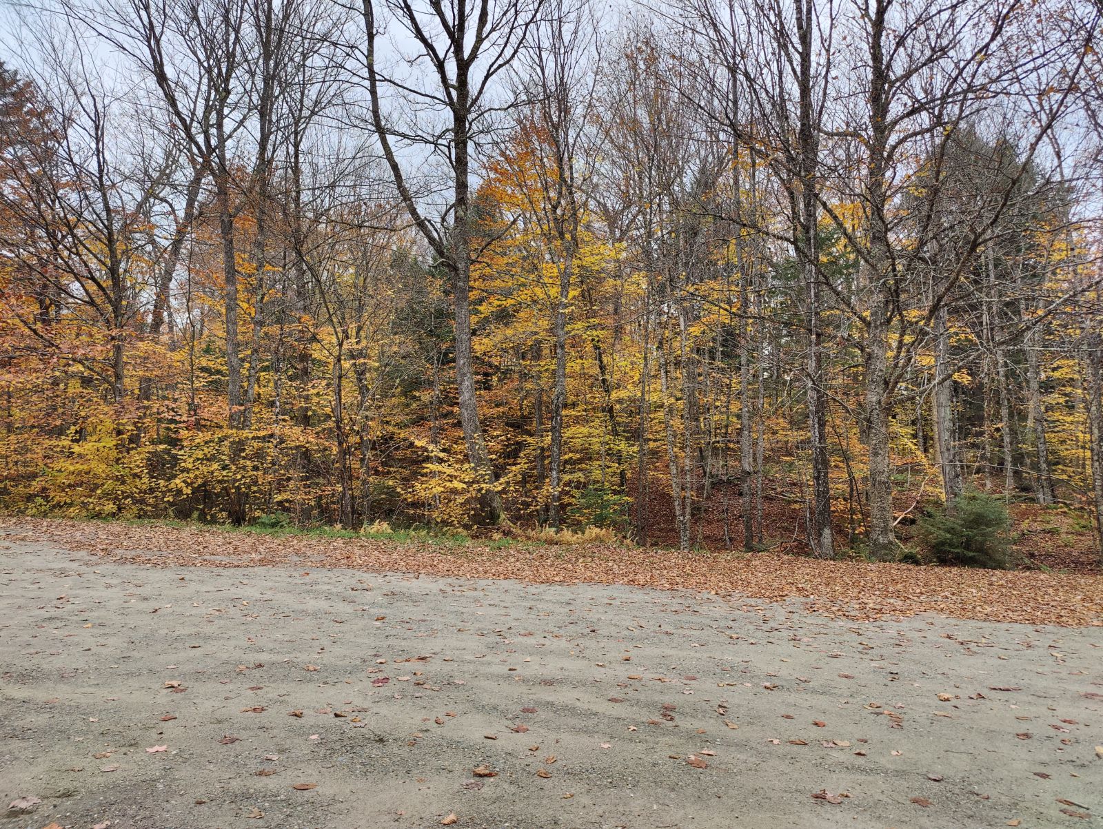 IMG20231020102910.jpg