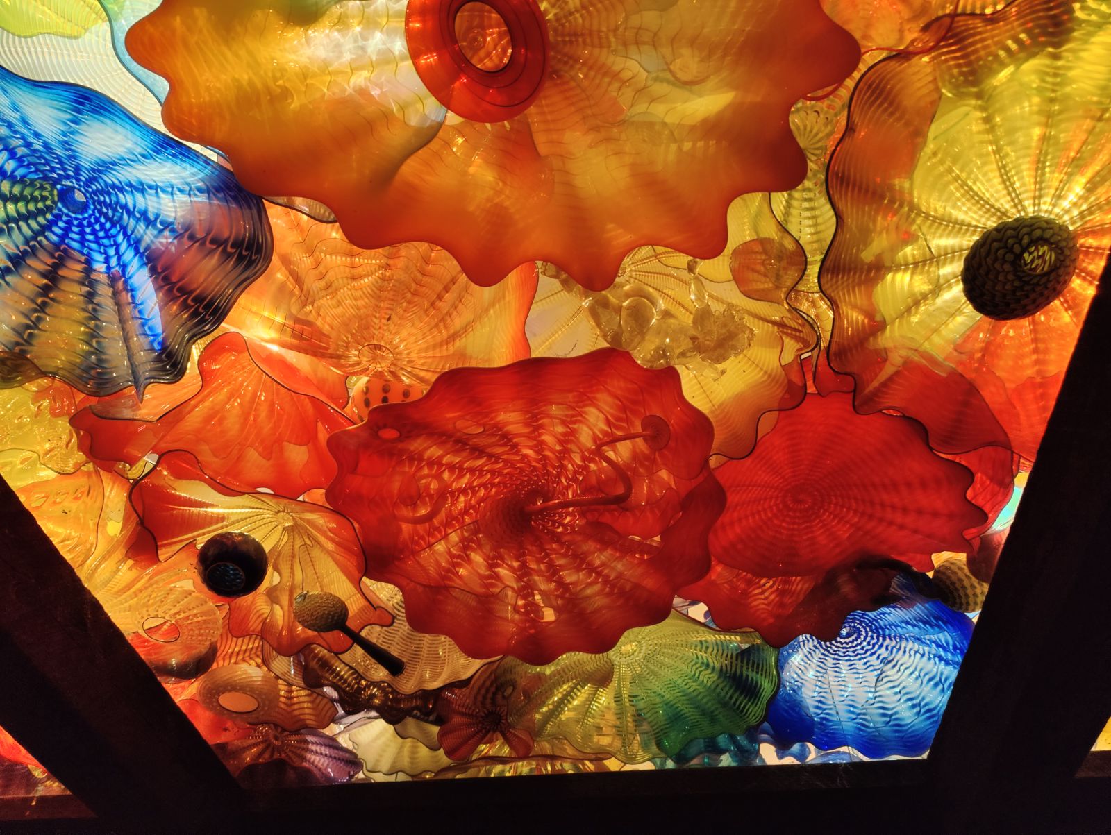 IMG20230402115144.jpg/