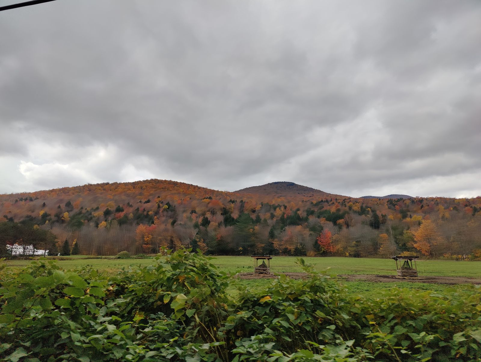 IMG20231020114600.jpg