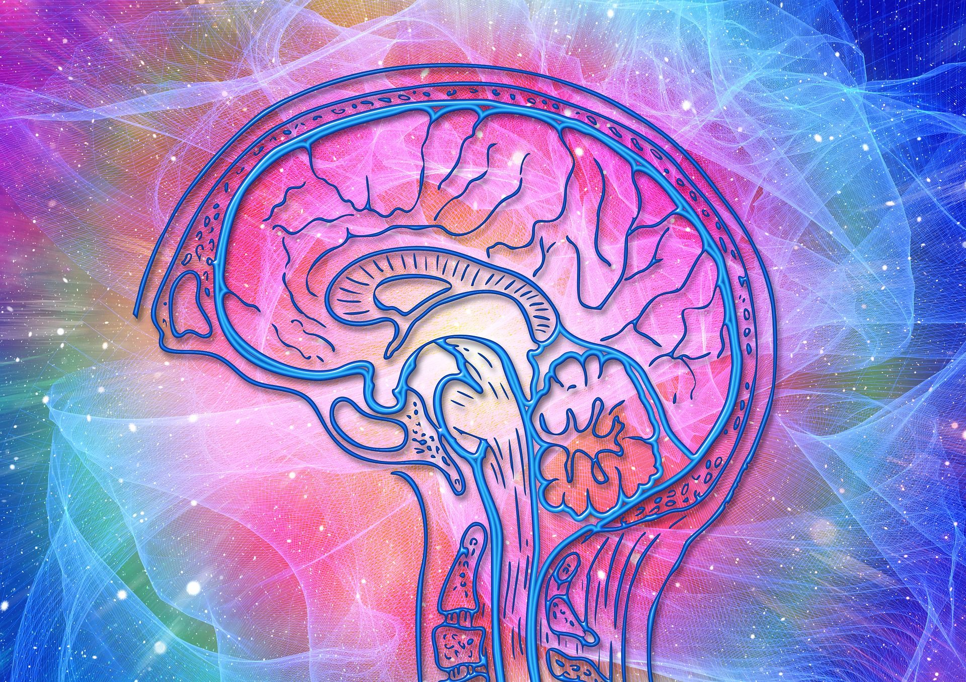 brain-g65351b13e_1920.jpg