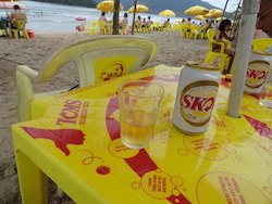 Skol_table.jpeg